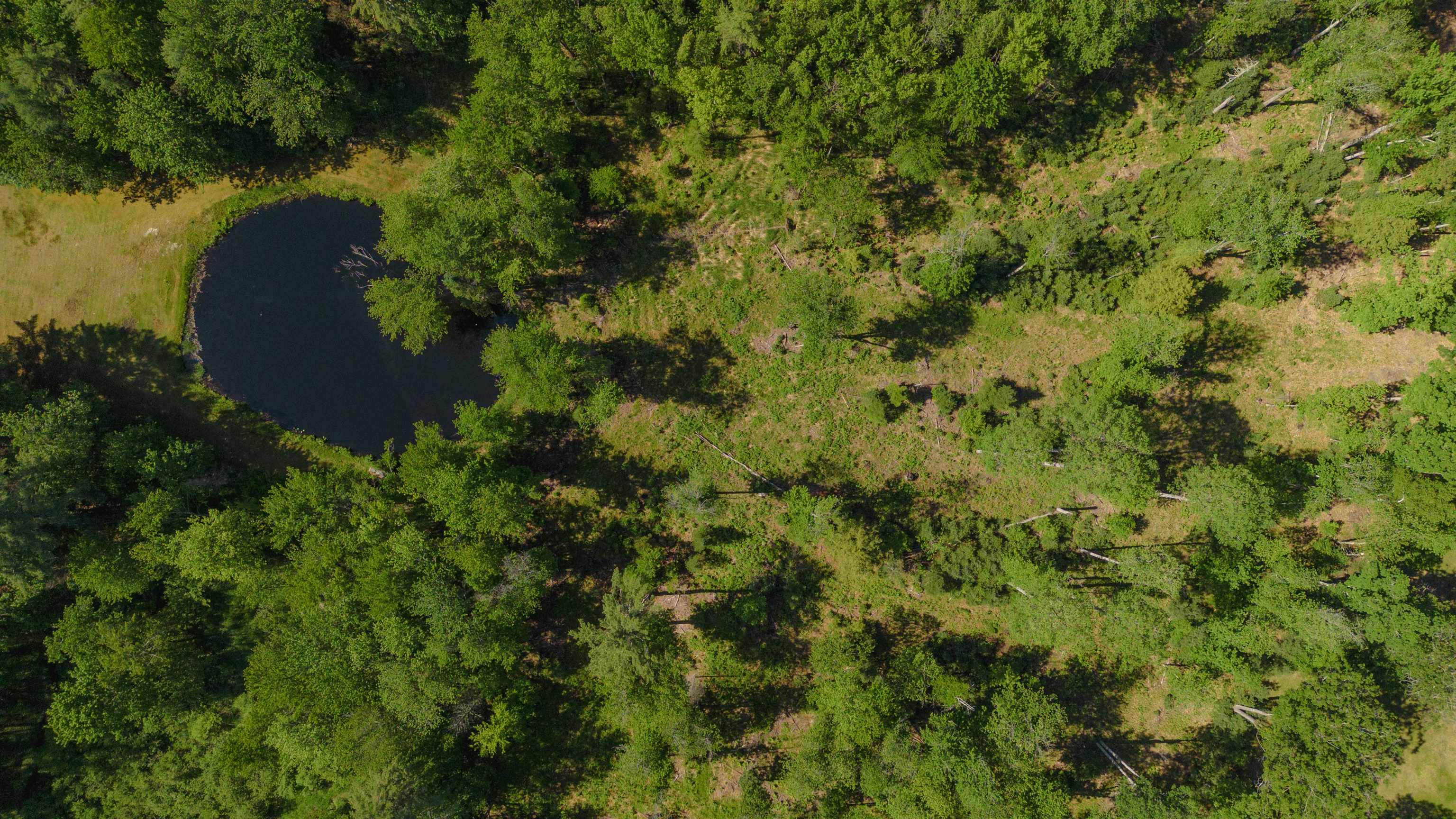 15 Tash Rd, New Durham, NH 03855