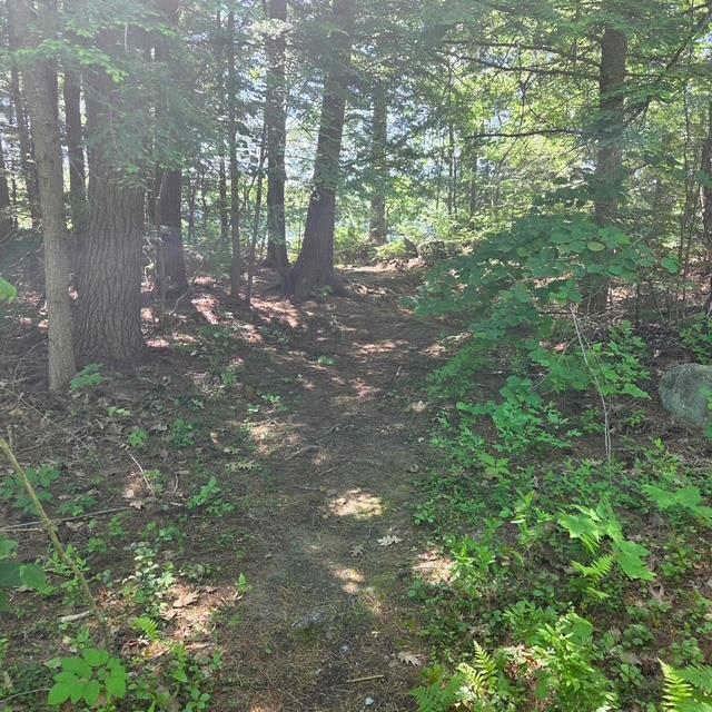 18 Gorham Dr, Dunbarton, NH 03046