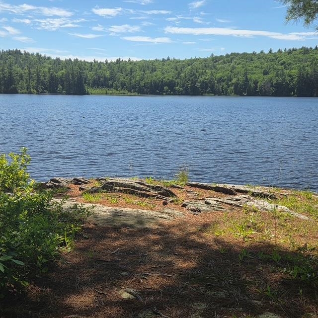 18 Gorham Dr, Dunbarton, NH 03046