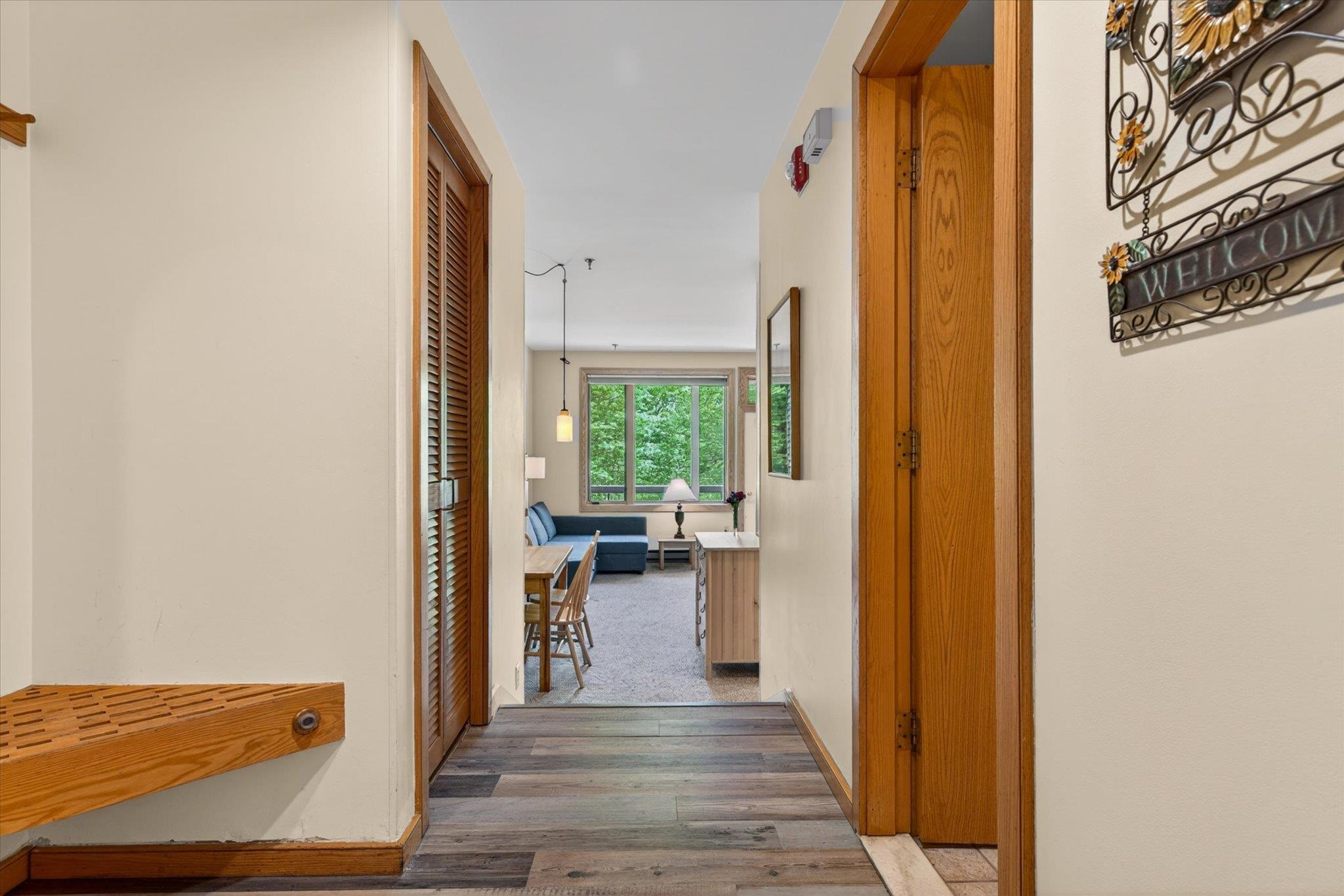 Entry area, bathroom to right, closet to left