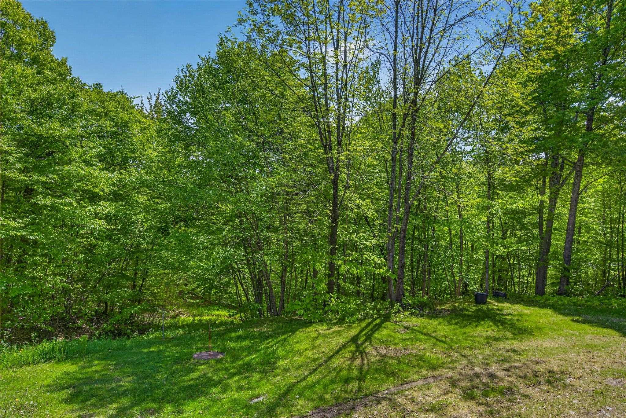 Lush greenery to enjoy from your balcony!