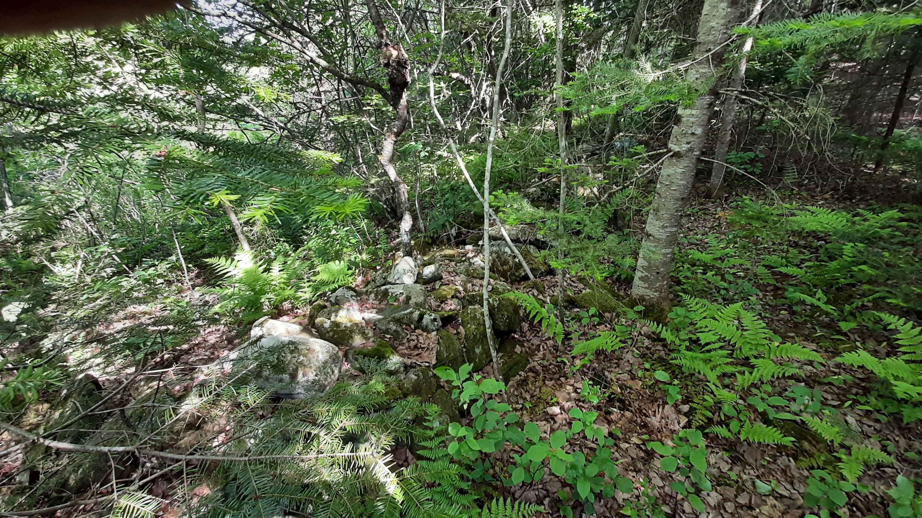 Property photo 16