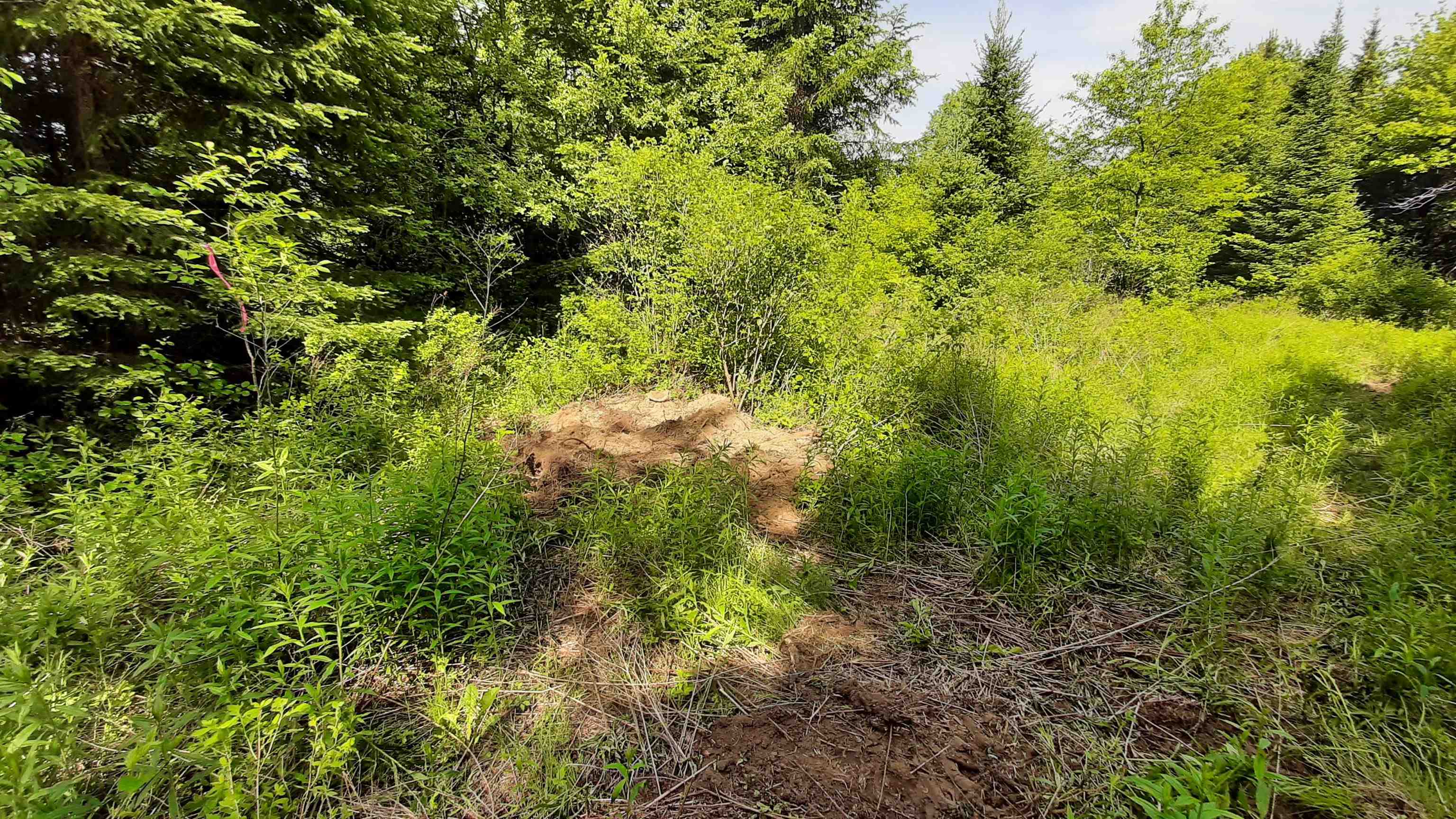 Property photo 22