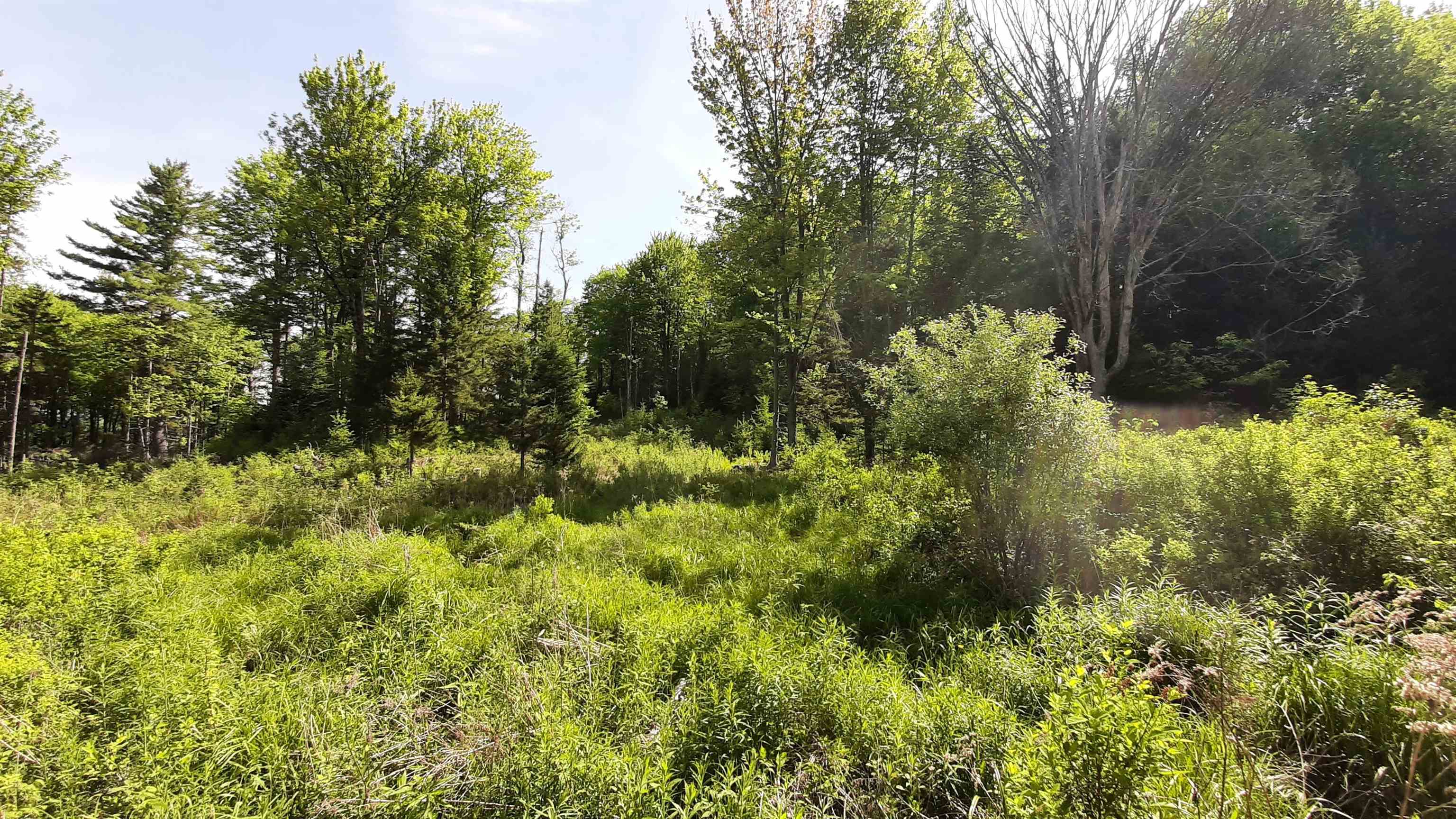 Property photo 26