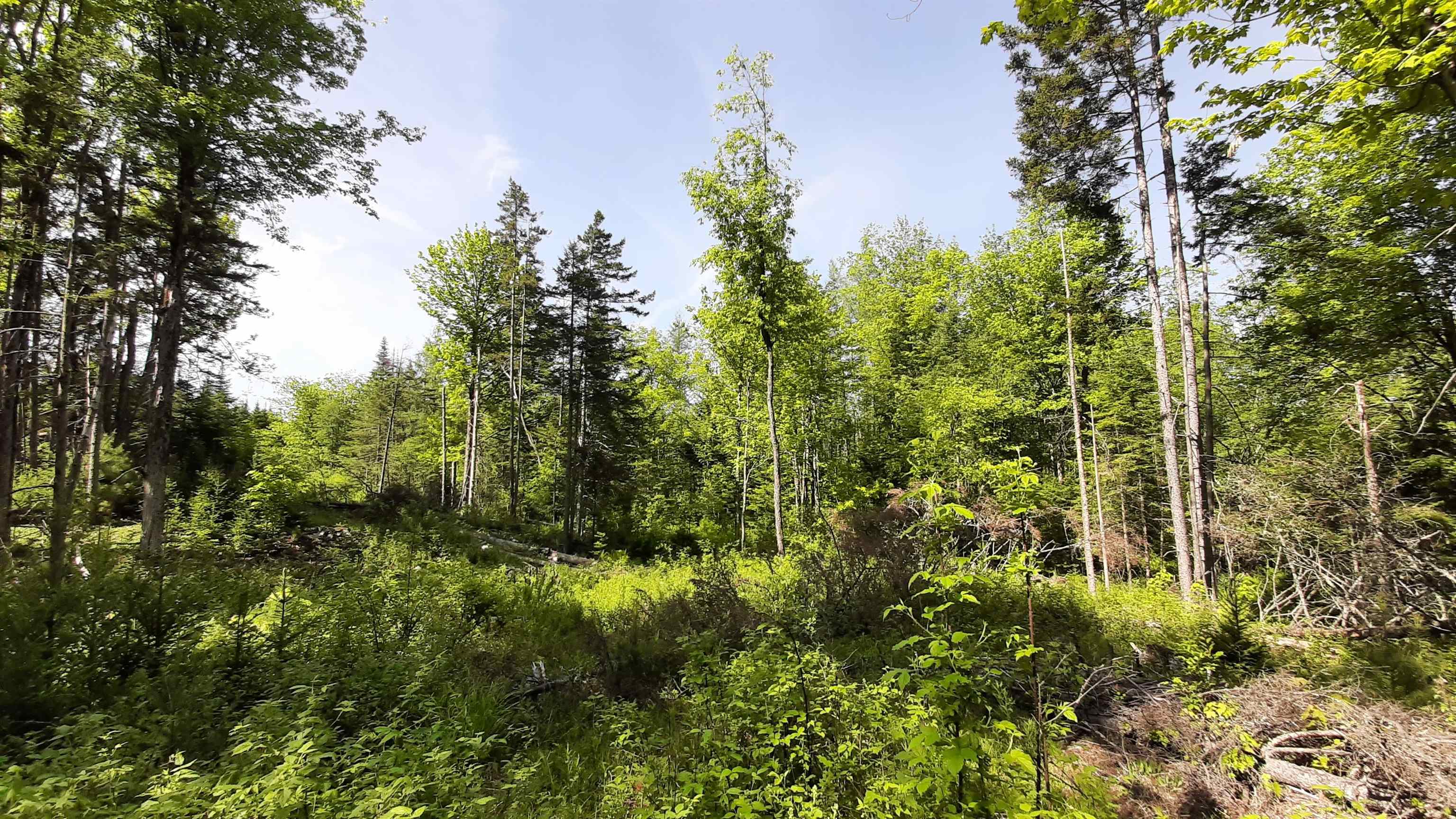 Property photo 28