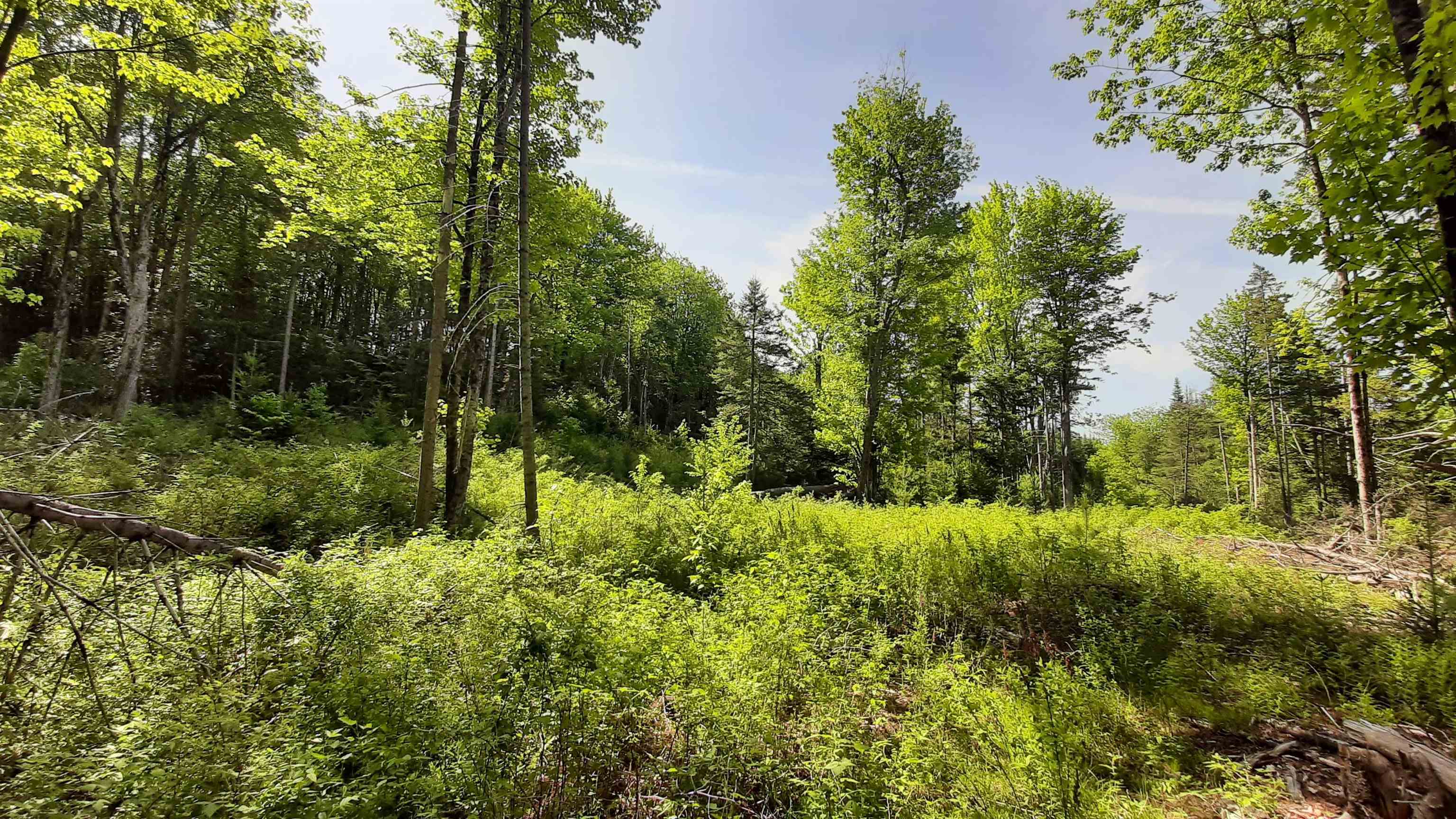 Property photo 30