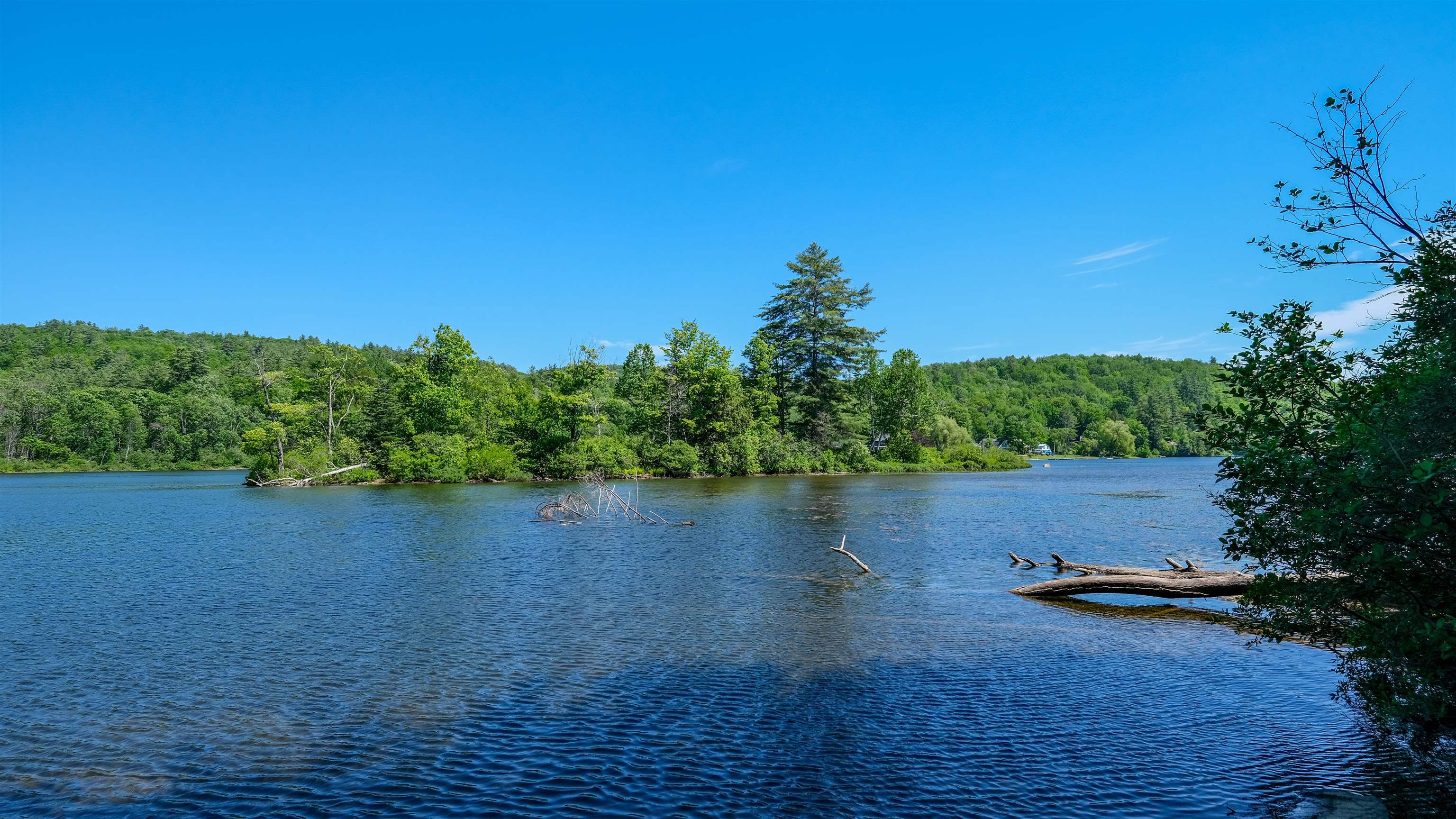 Island views from the lake frontage