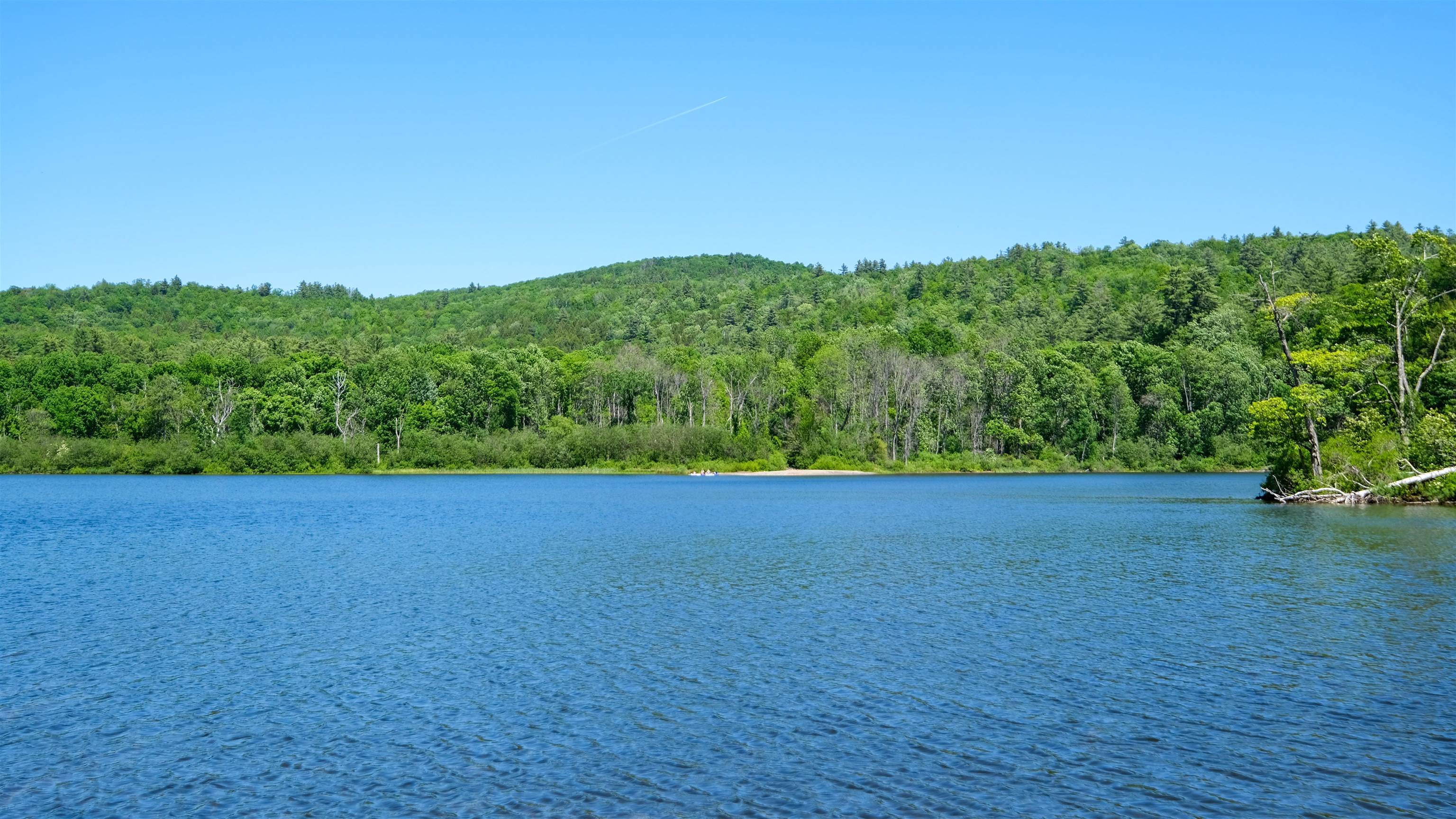 Looking across Echo Lake at Buffalo Creek