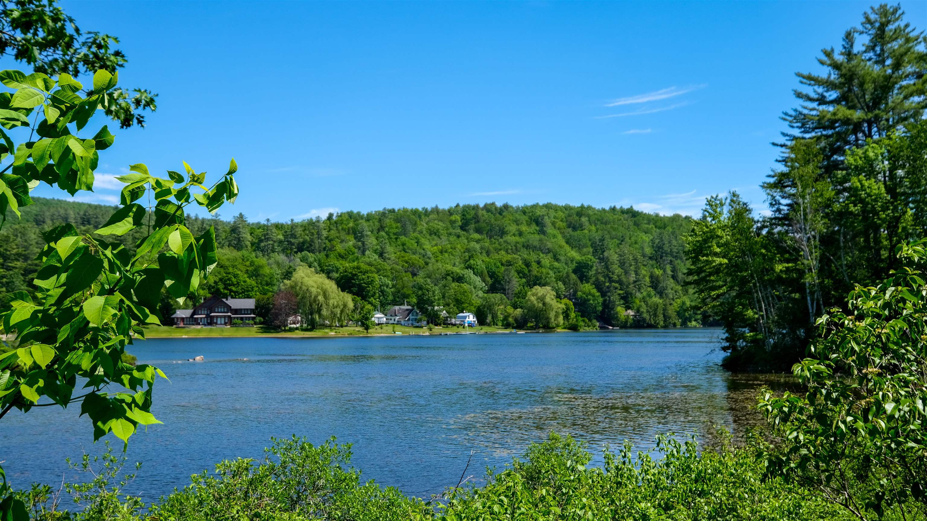 Looking south down the lake