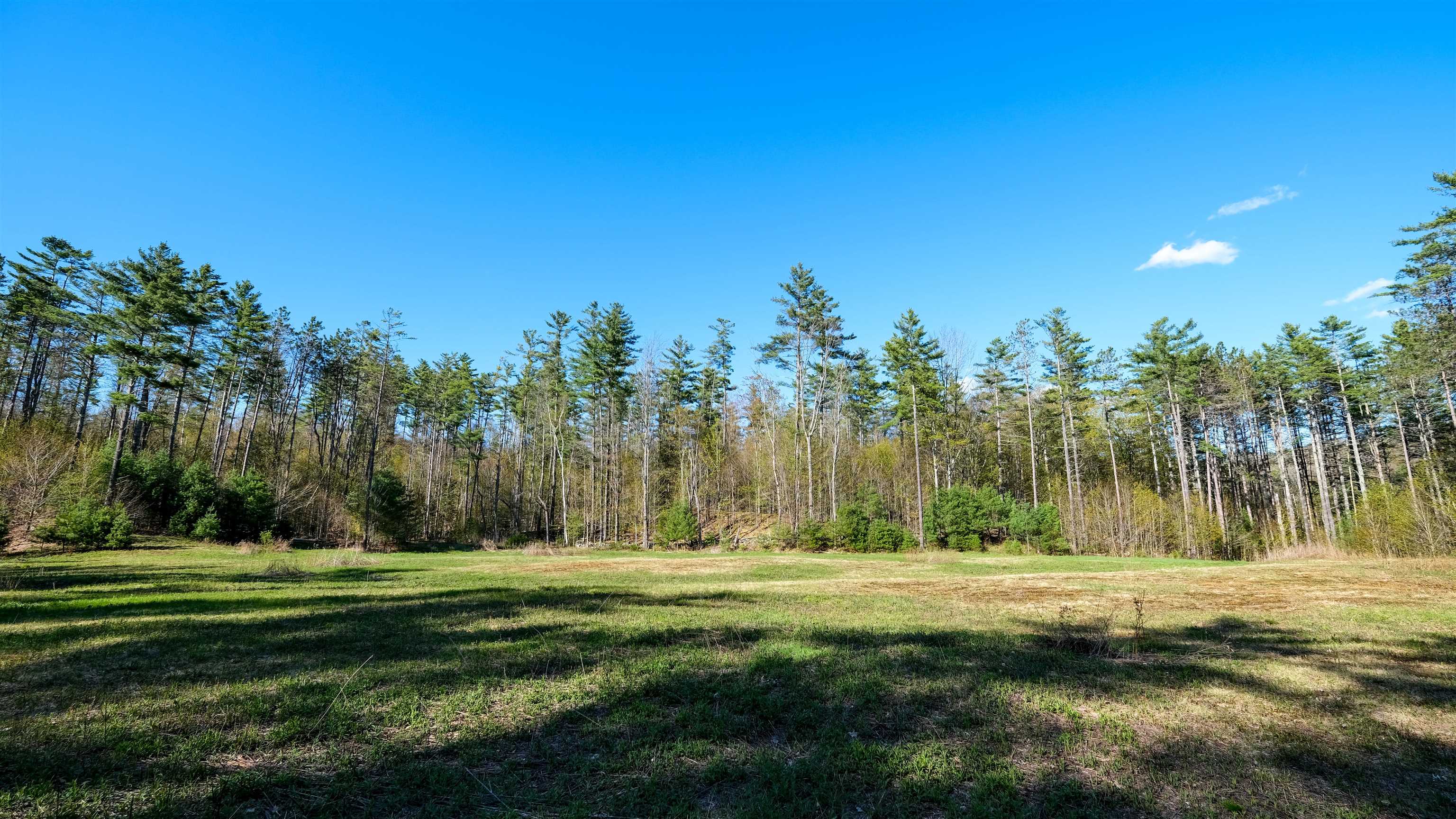 Open field to trails