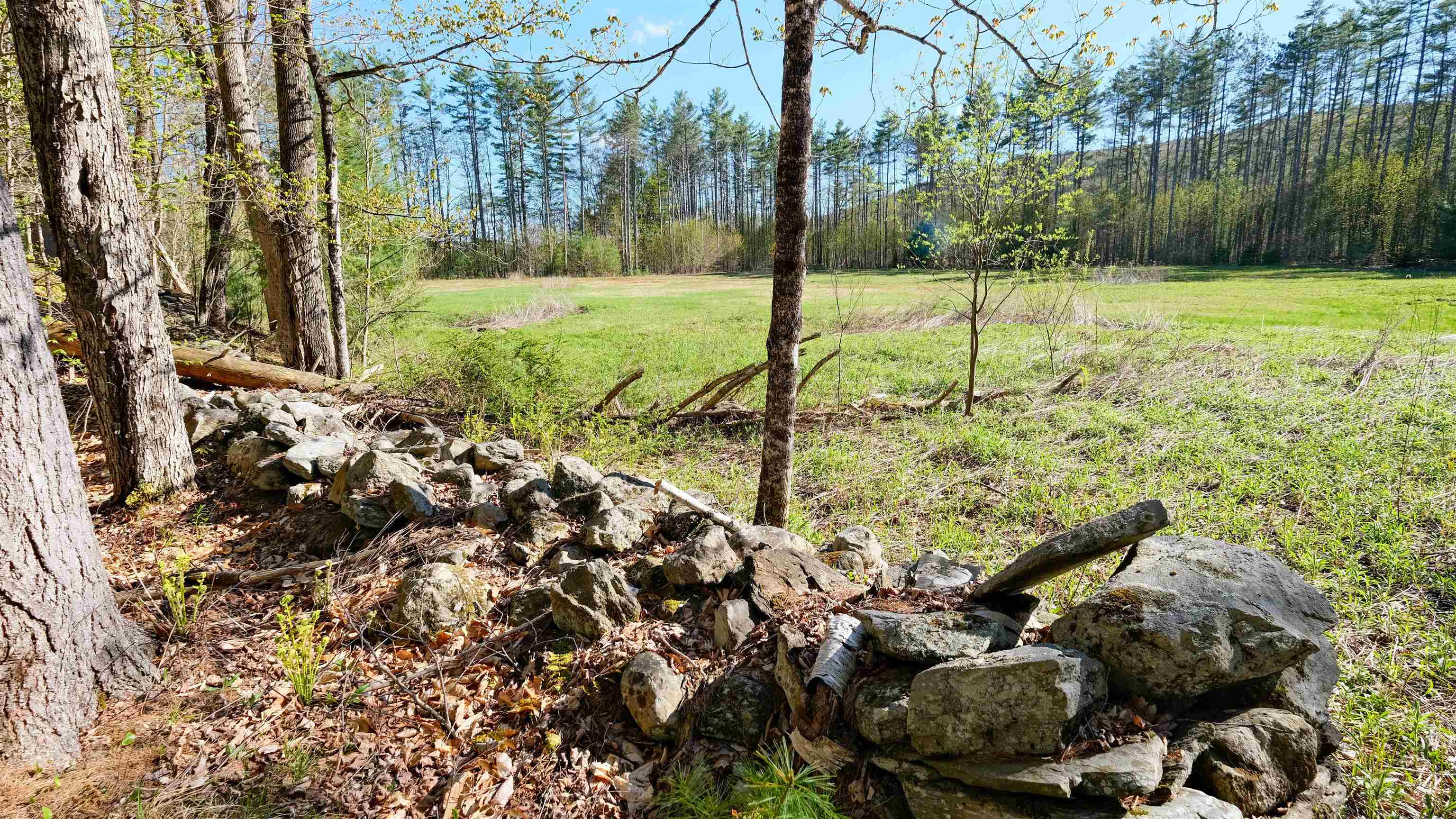 stone wall edged field