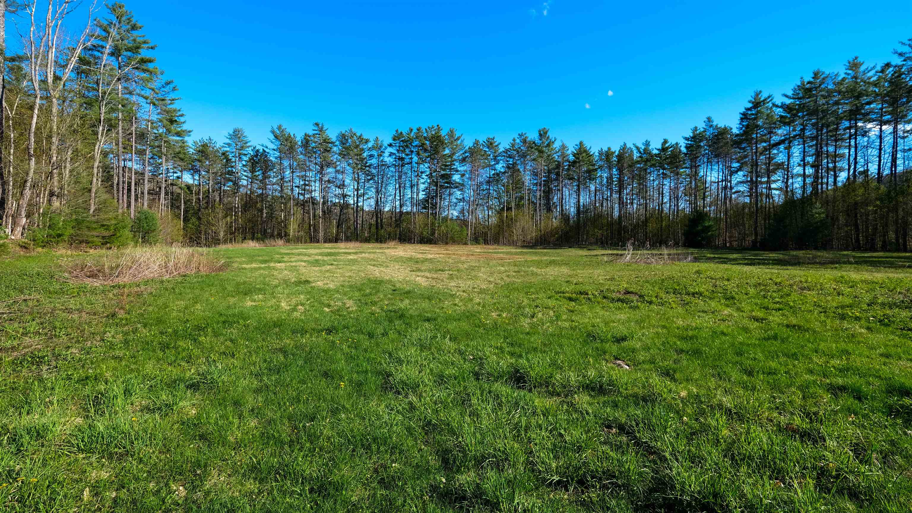Looking south at the field