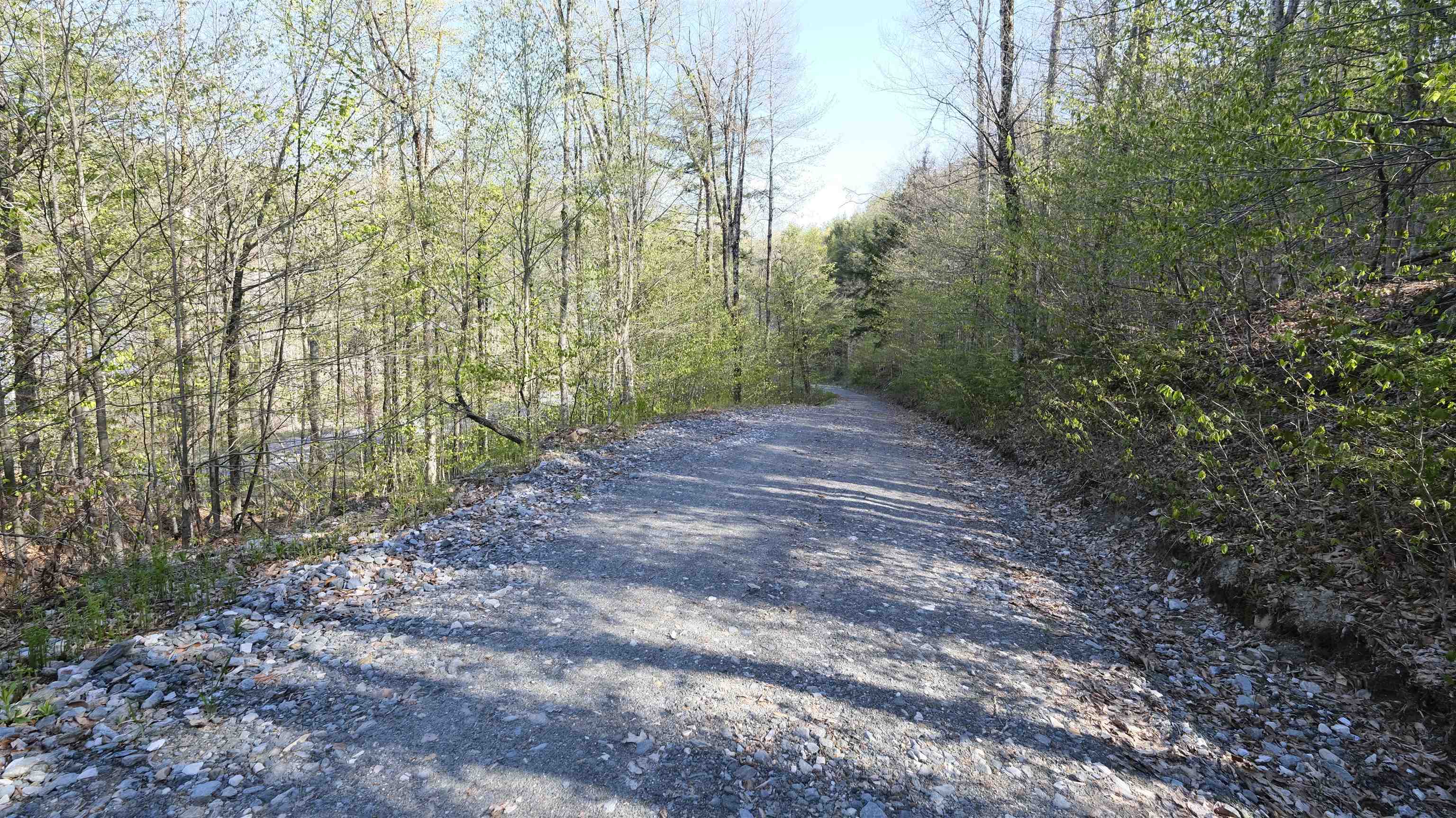 Driveway to Rt 100