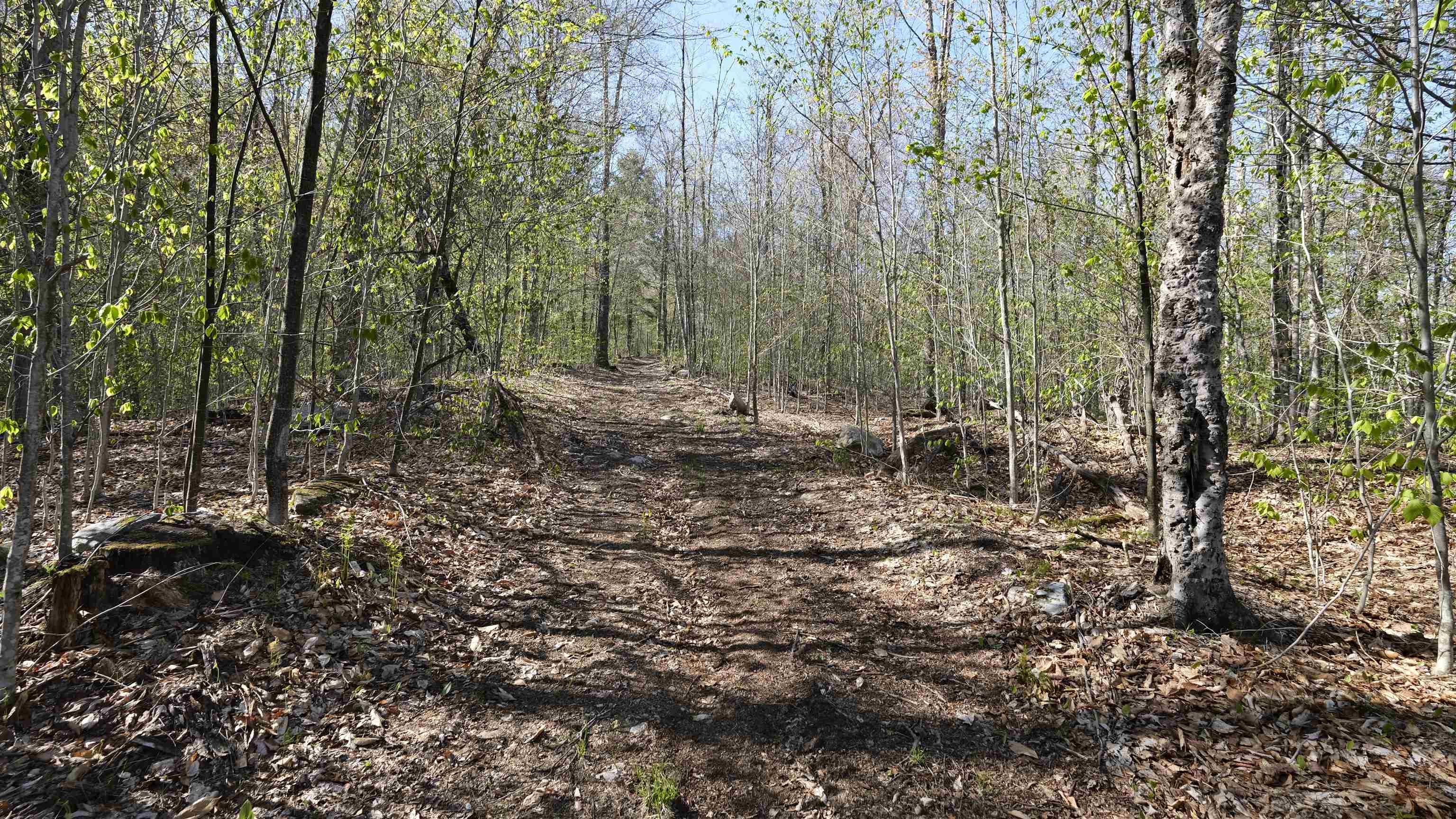Wide trails