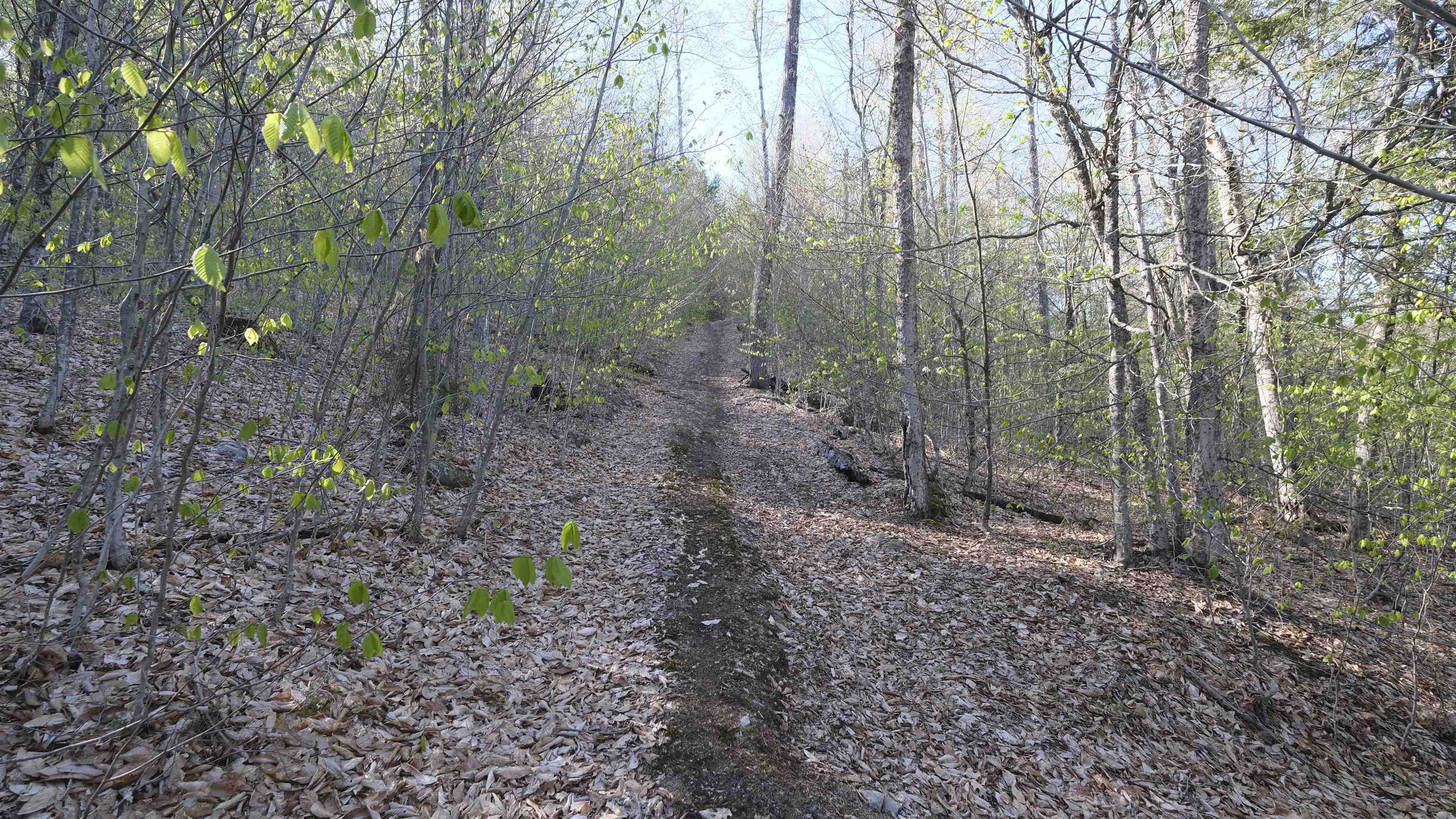 Another dirt trail