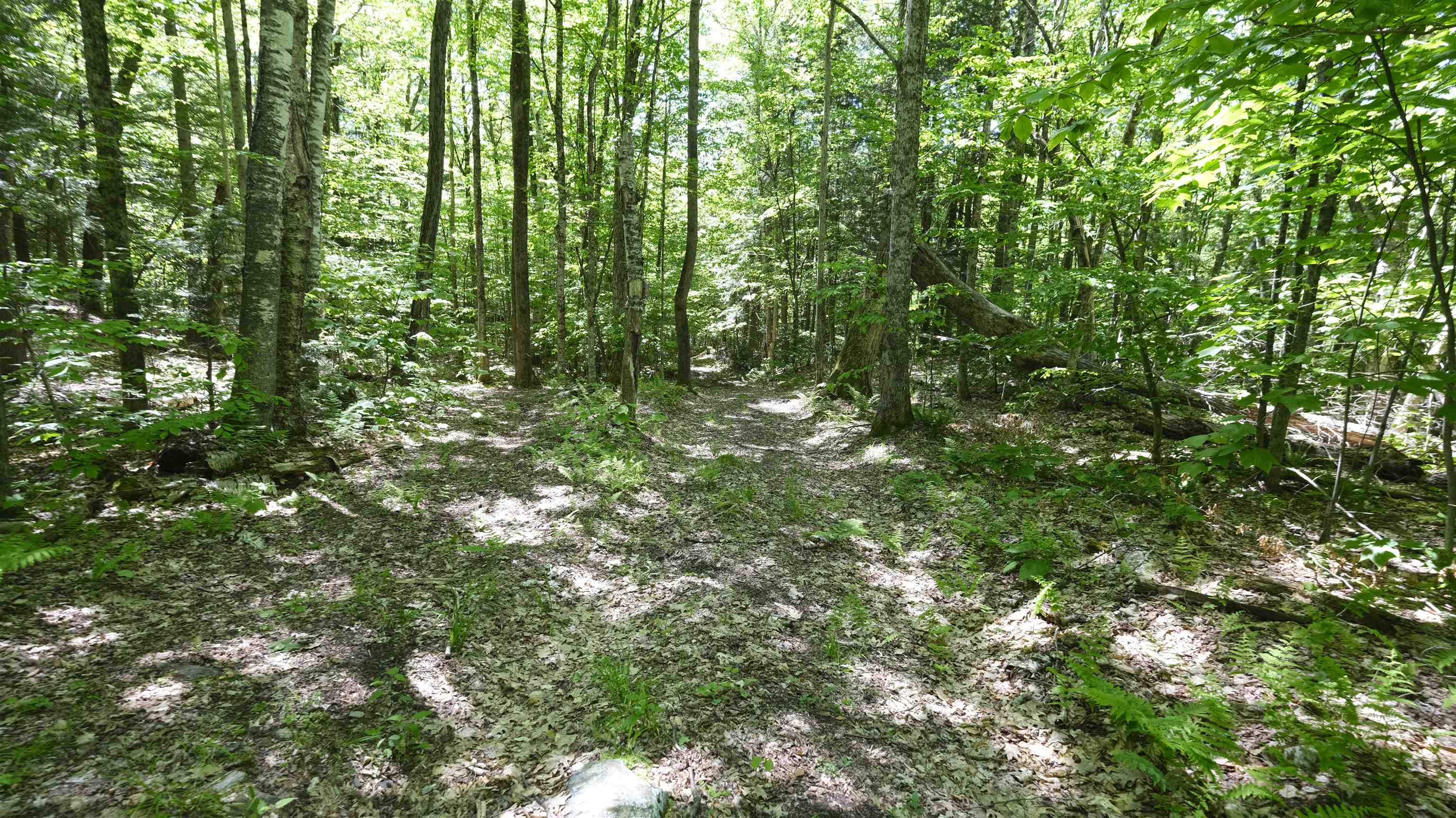 Trail intersection