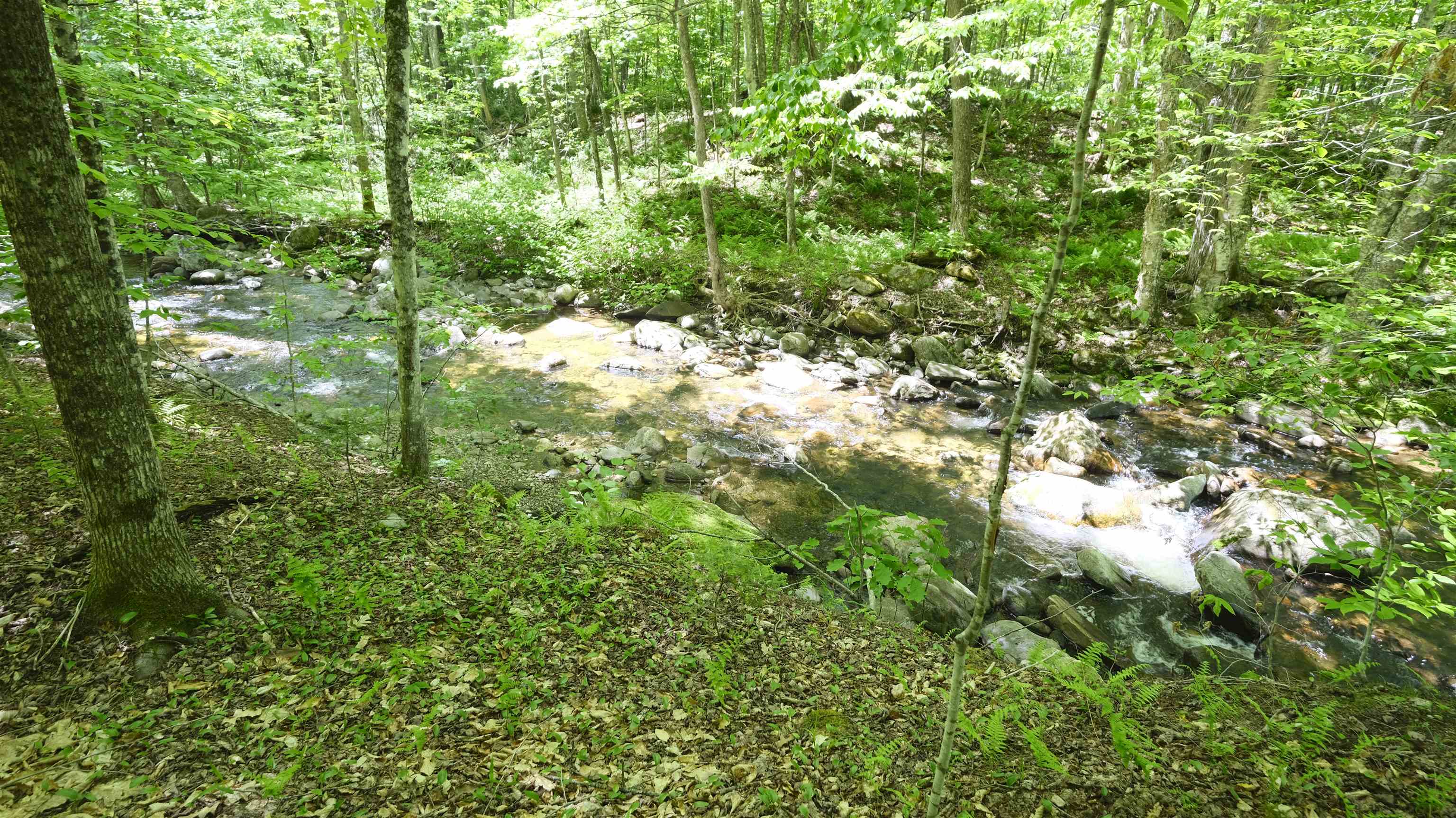 Patch Brook on property