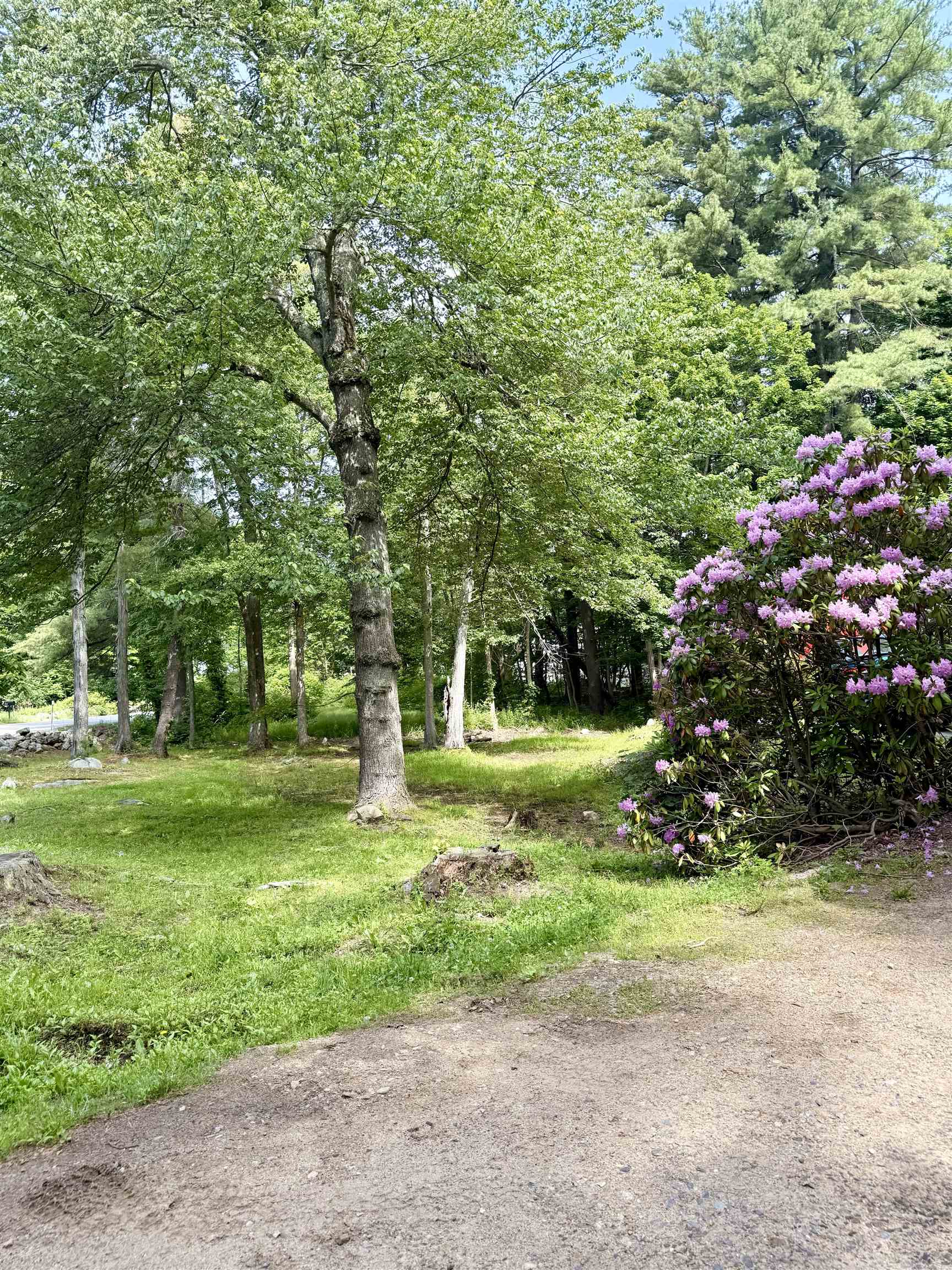 Photo 9 of 37