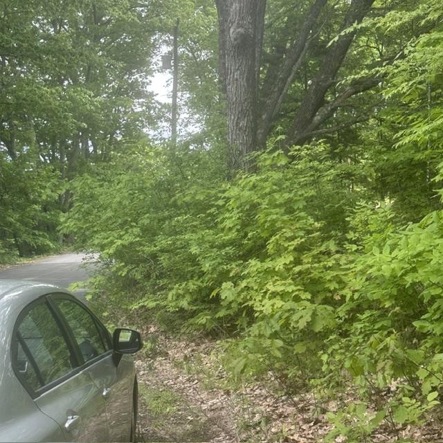 44.1 Lovell Lake Rd, Wakefield, NH 03872