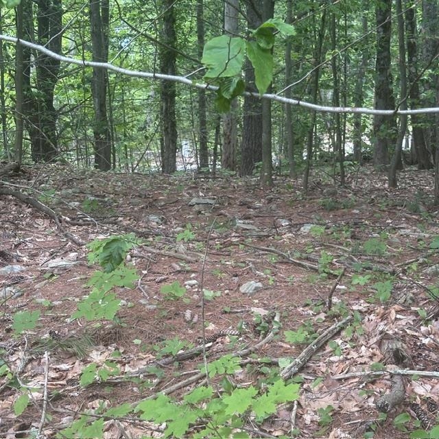44.1 Lovell Lake Rd, Wakefield, NH 03872