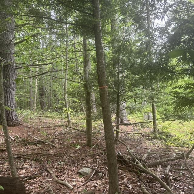 44.1 Lovell Lake Rd, Wakefield, NH 03872
