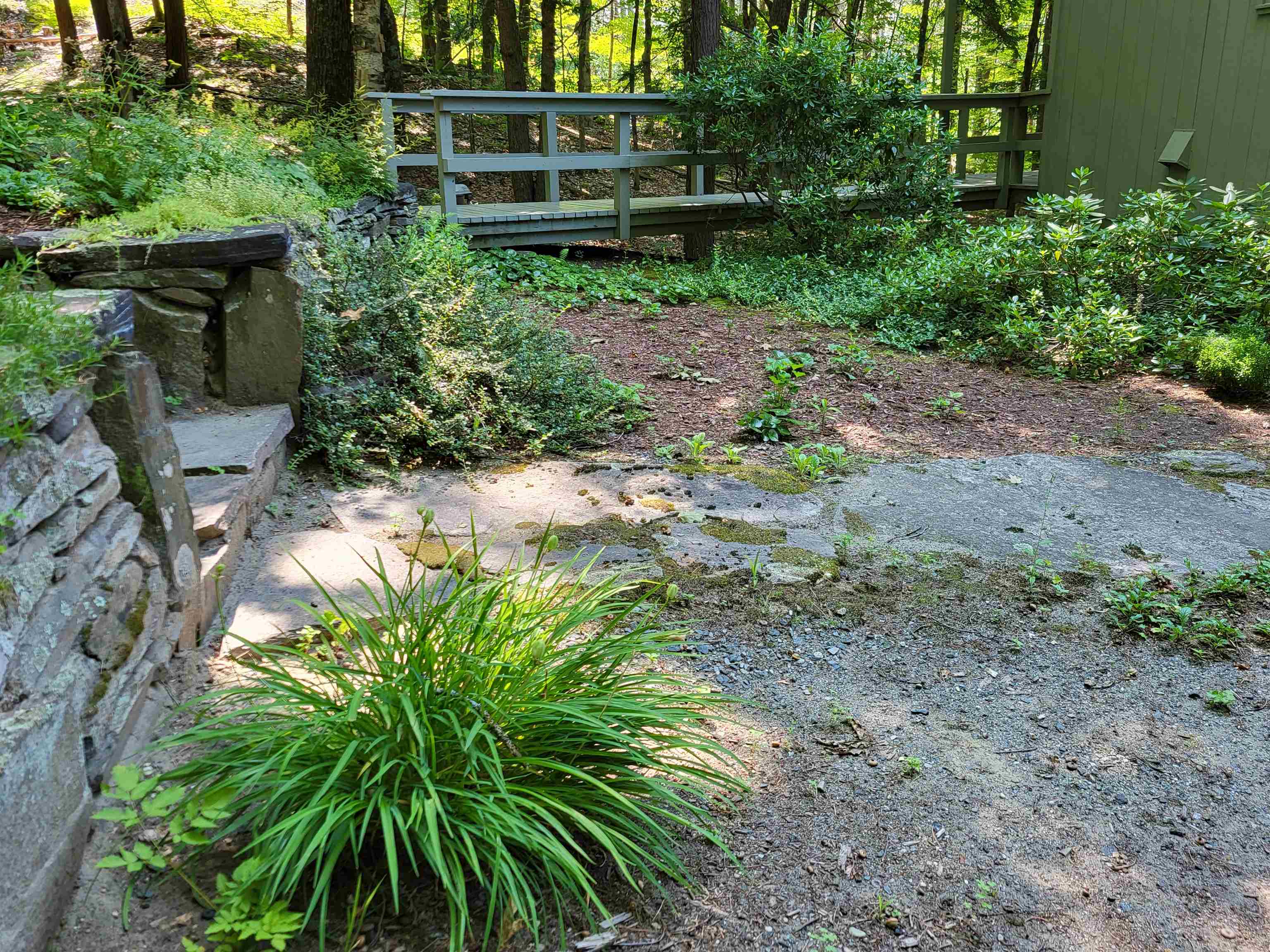 Front of home garden area 25863820