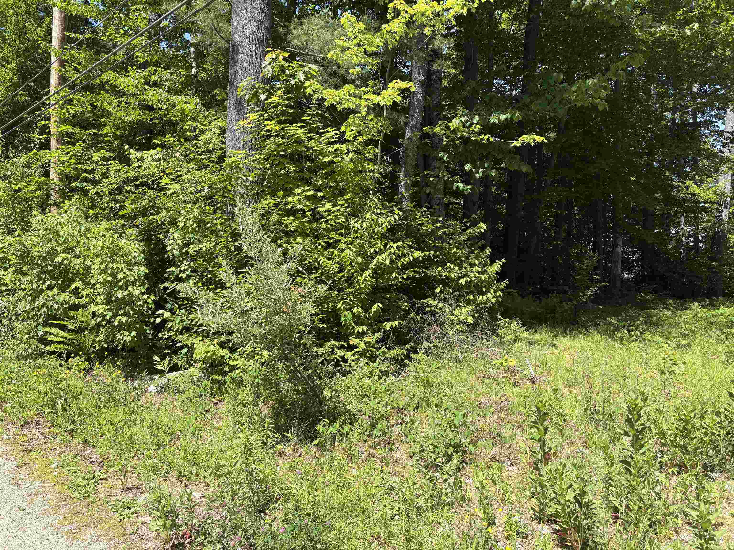 Lot 608 Rabbit Pa, Hillsborough, NH 03244
