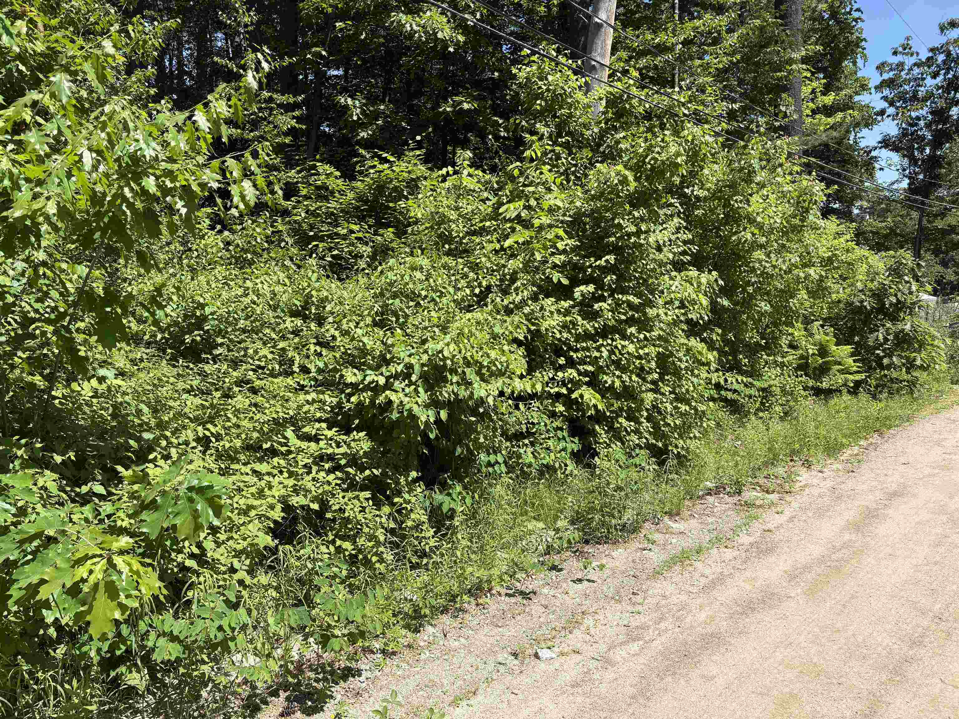 Lot 608 Rabbit Pa, Hillsborough, NH 03244