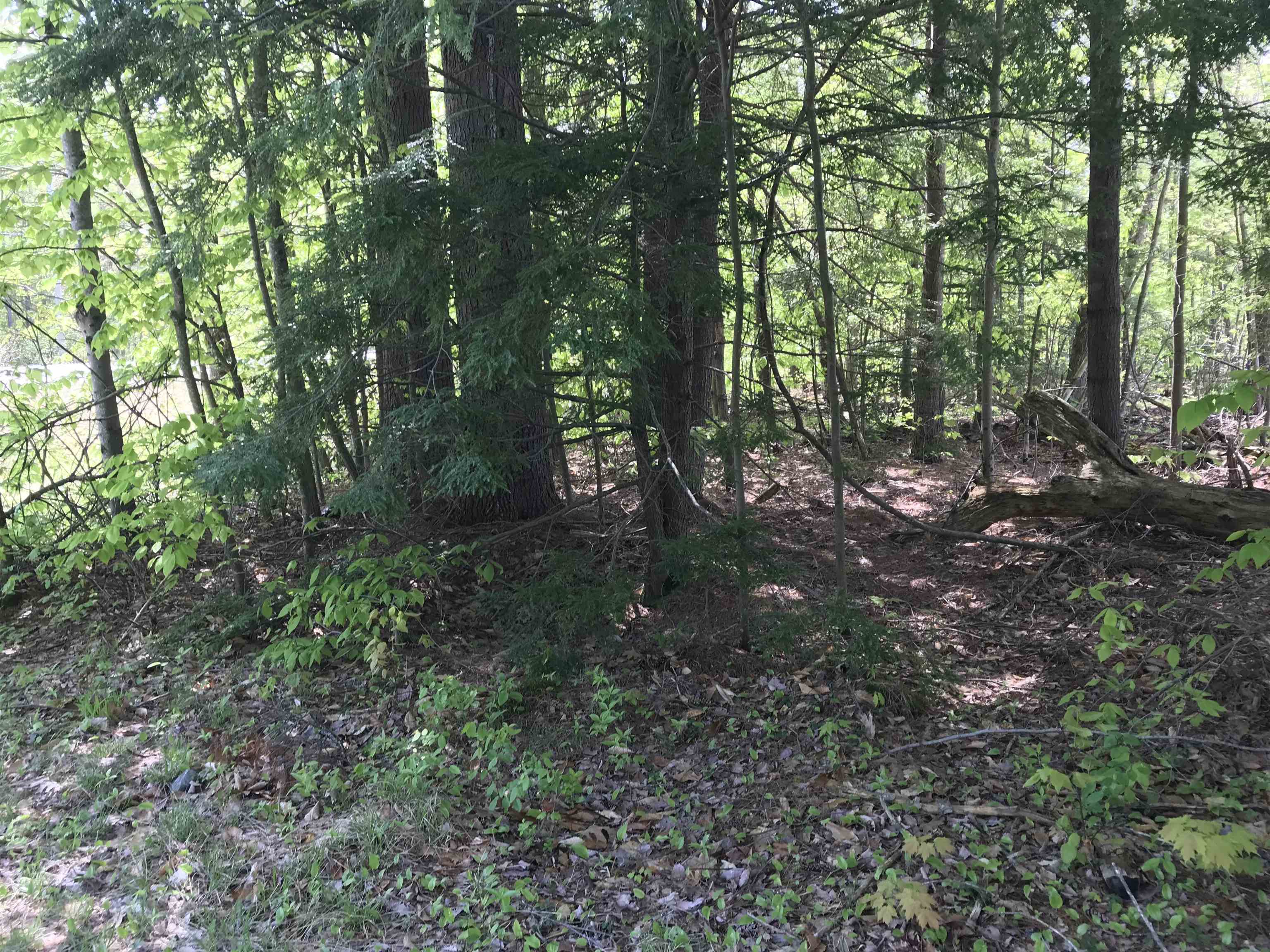 420-11 Route 9 Hw, Stoddard, NH 03464