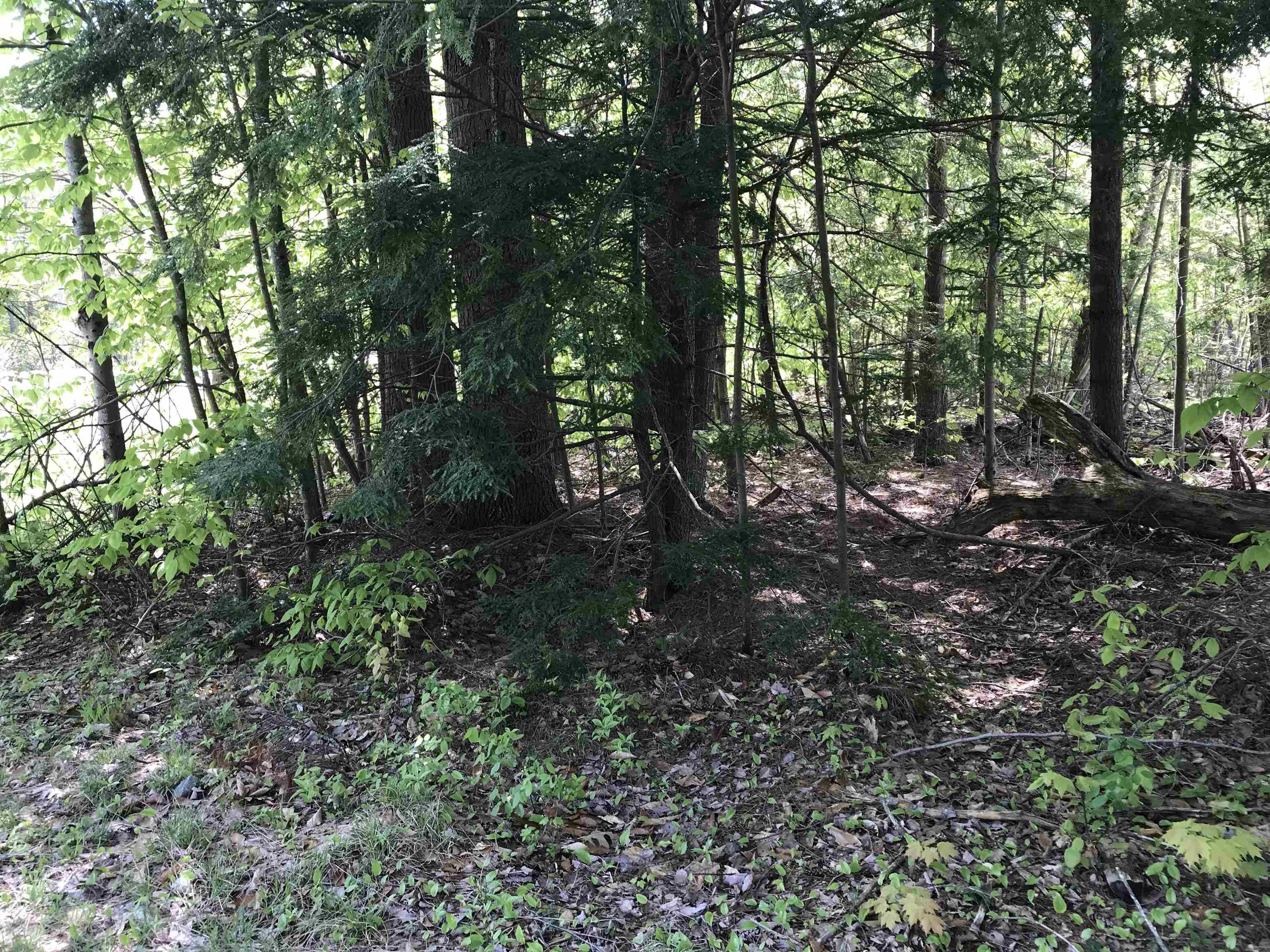 420-11 Route 9 Hw, Stoddard, NH 03464