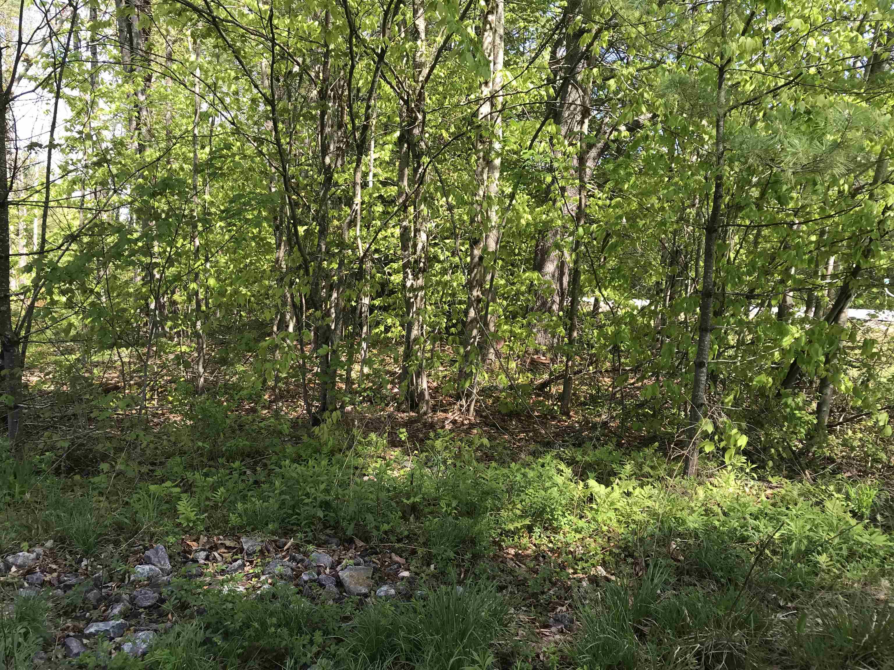 420-11 Route 9 Hw, Stoddard, NH 03464