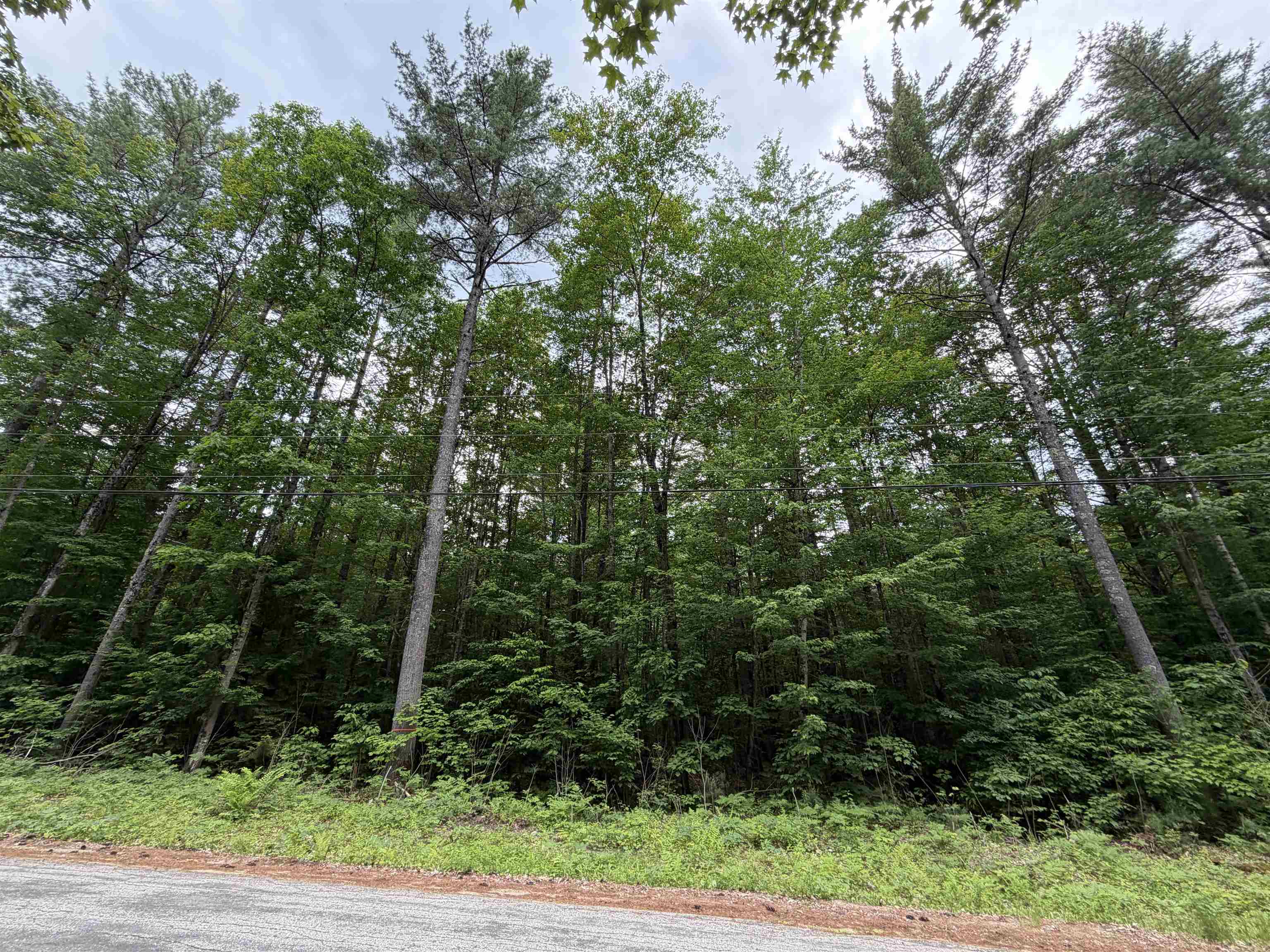 00 Rolling Ridge Rd, Bartlett, NH 03812