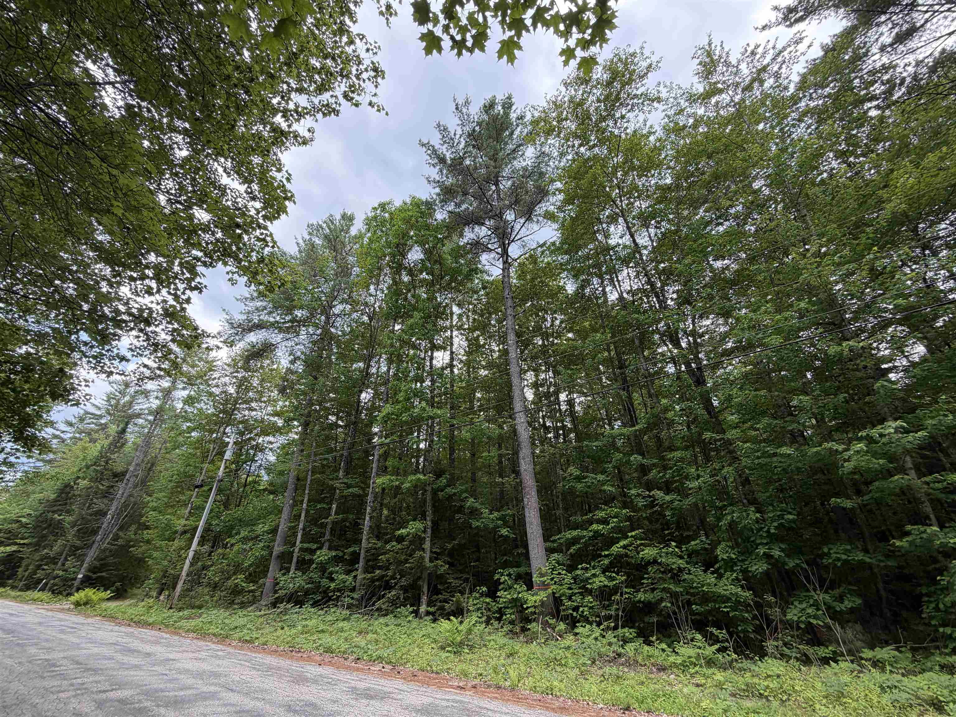 00 Rolling Ridge Rd, Bartlett, NH 03812