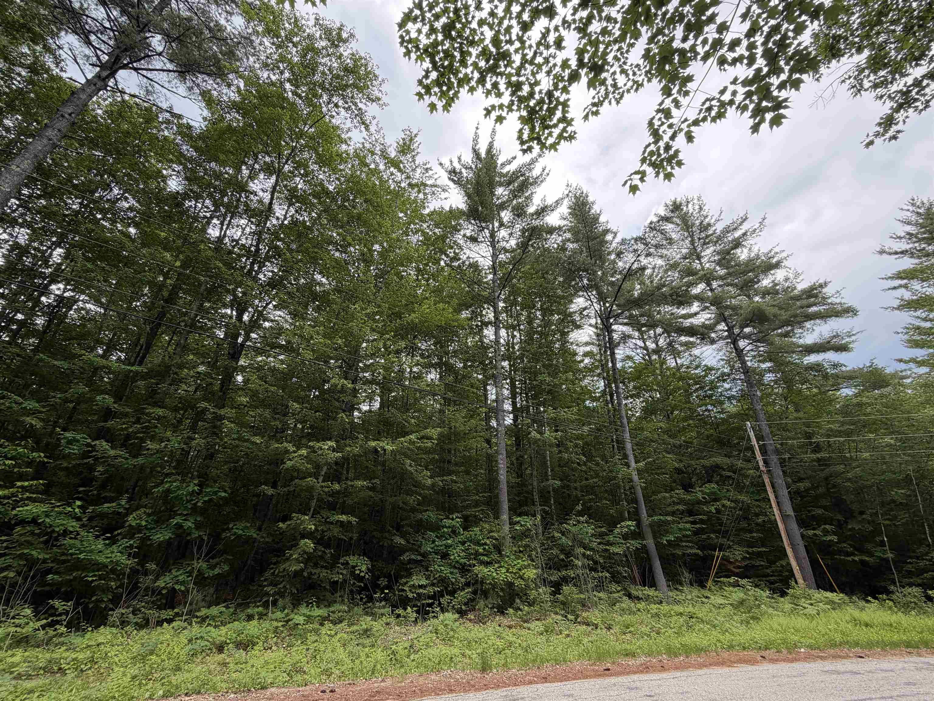 00 Rolling Ridge Rd, Bartlett, NH 03812