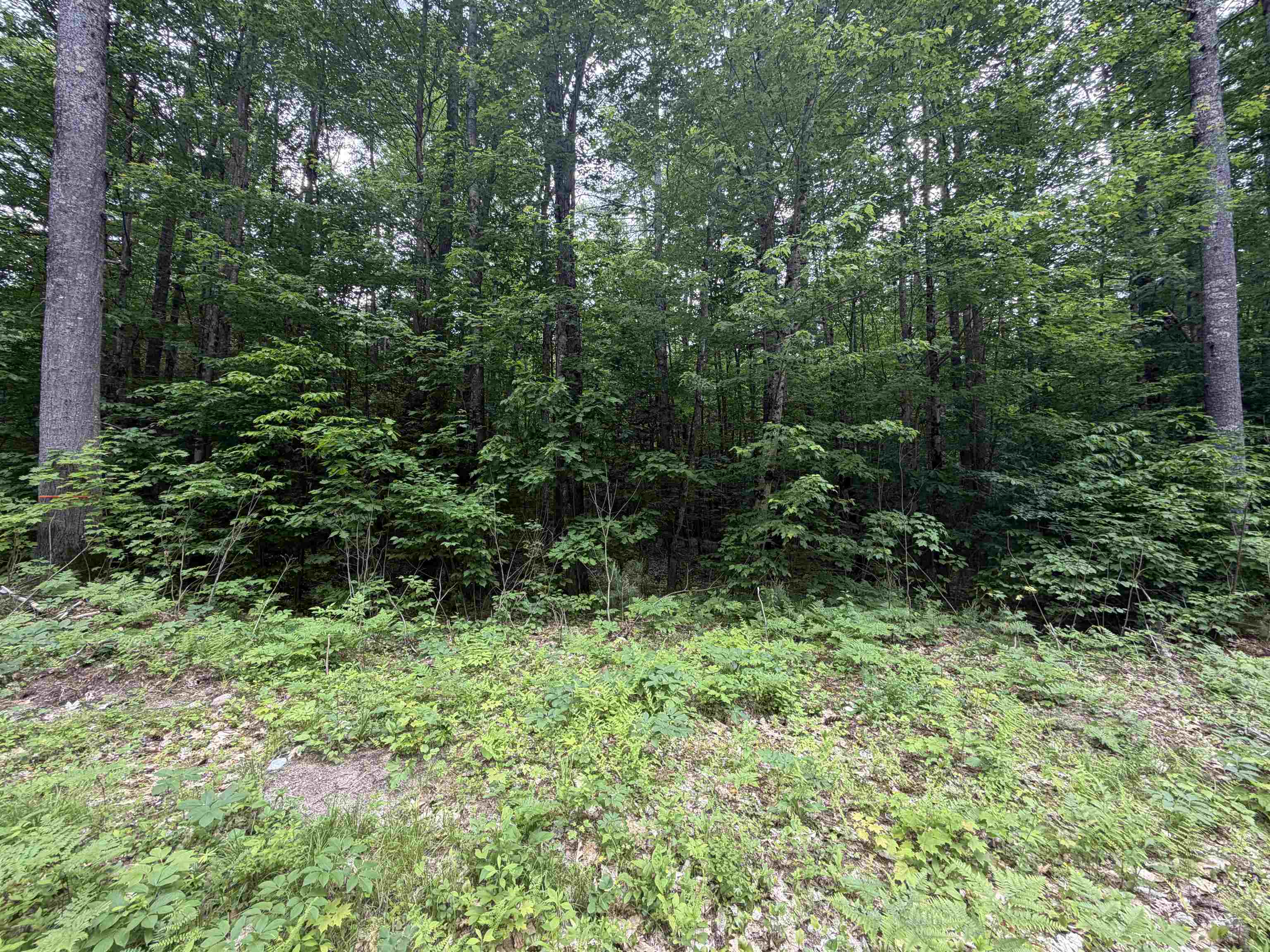 00 Rolling Ridge Rd, Bartlett, NH 03812