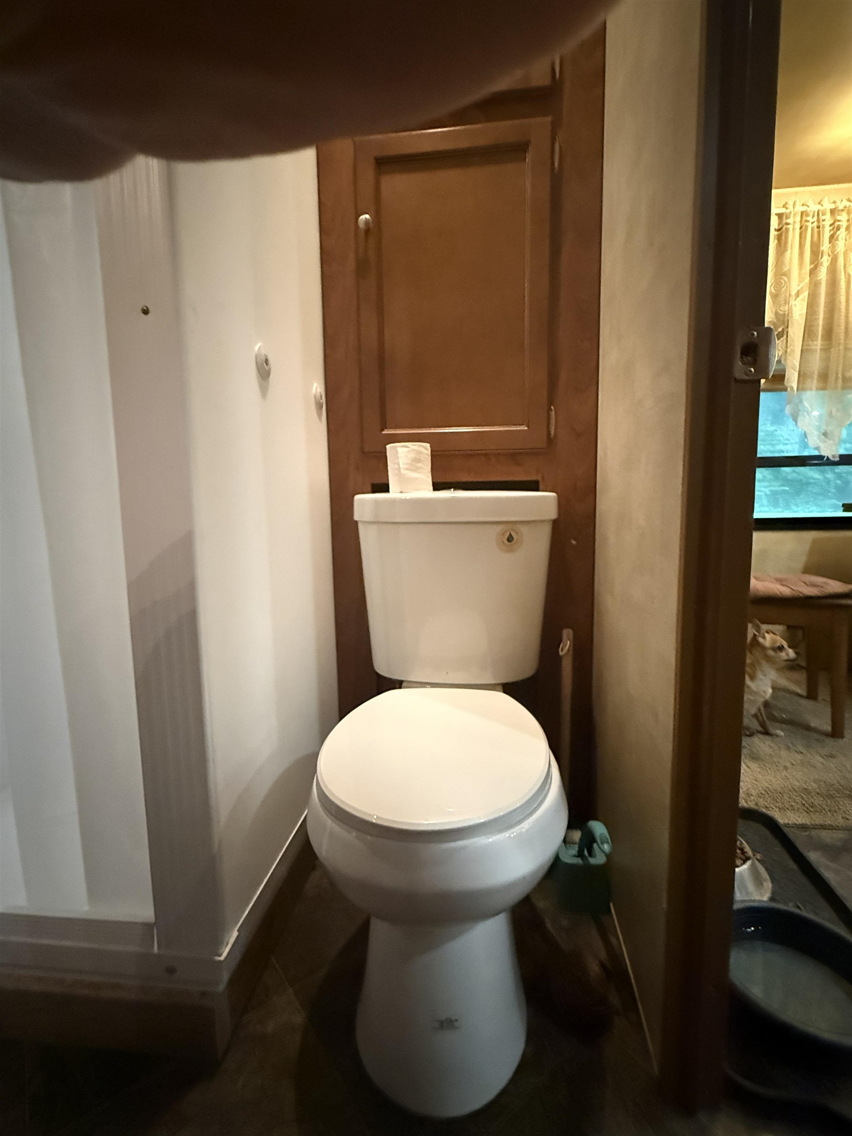 Standard Toilet