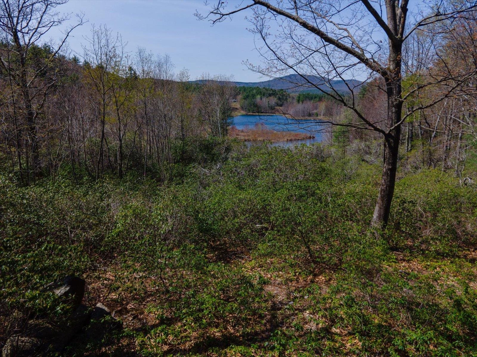 00 Stonegate Farm Rd, Temple, NH 03084
