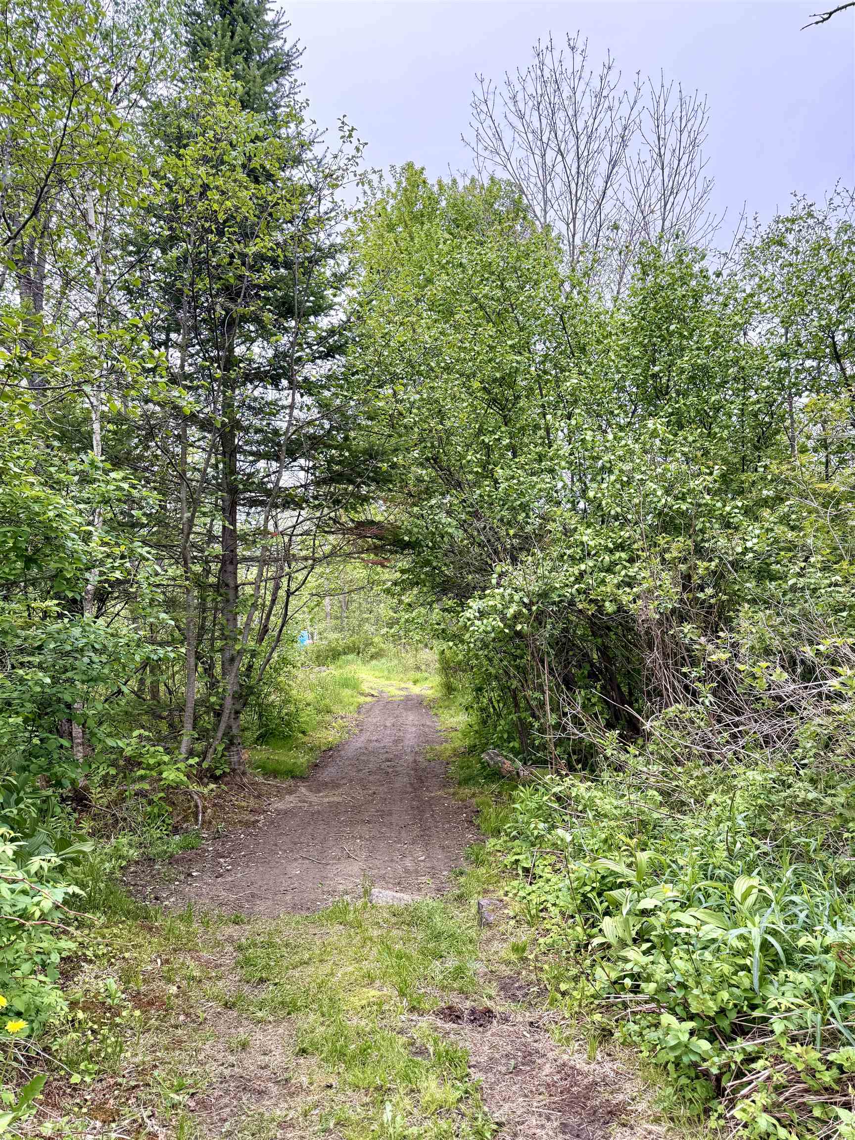 205 Whipple Rd, Jefferson, NH 03583