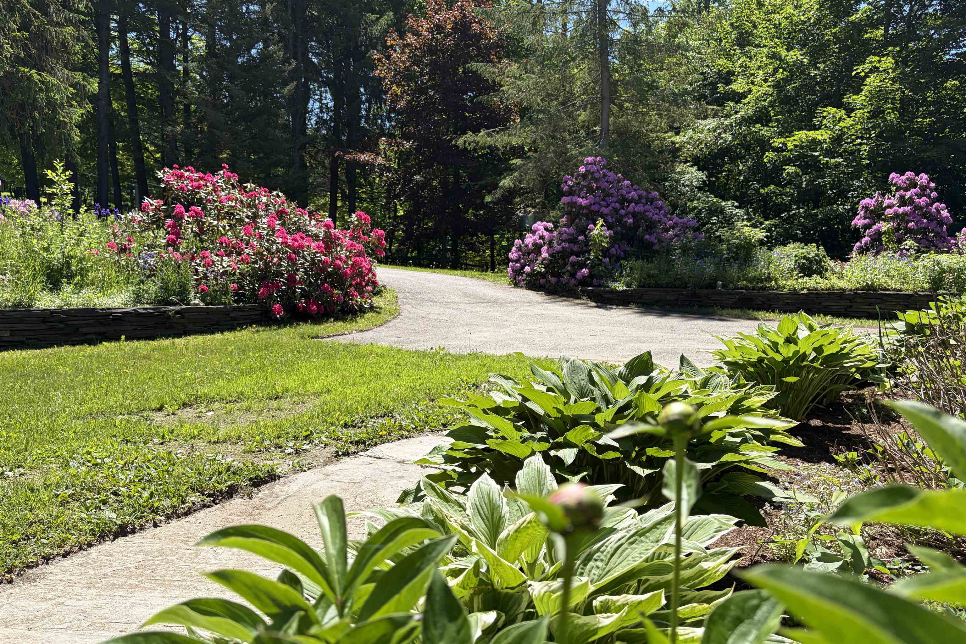 Homes for sale in Elmore, VT | 2206 Elmore Mountain Rd, Elmore, VT 05661 | MLS# 5094063