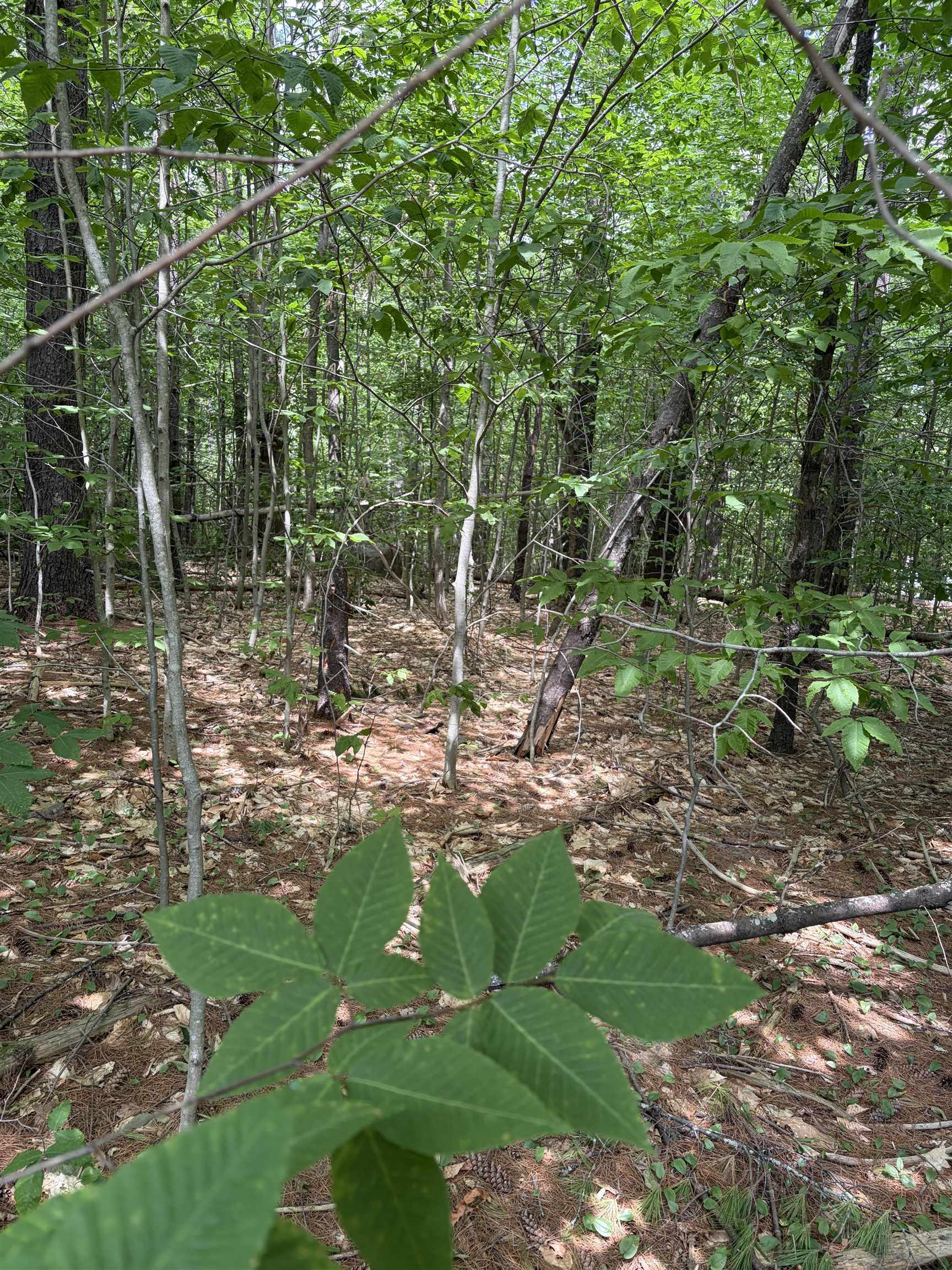 TBD Mt Surprise Rd, Bartlett, NH 03812