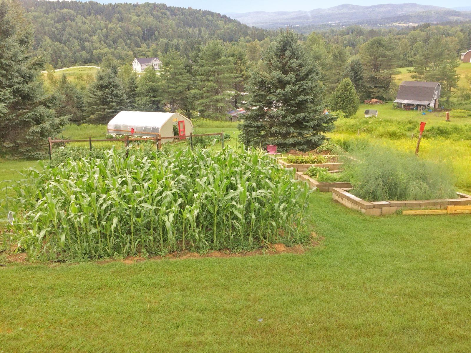 1126 Nh Route 26, Colebrook, NH 03576