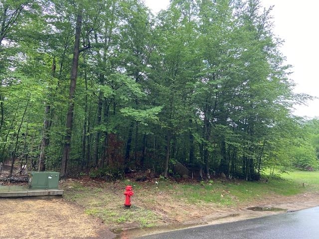 65 South Peak Rd, Lincoln, NH 03251