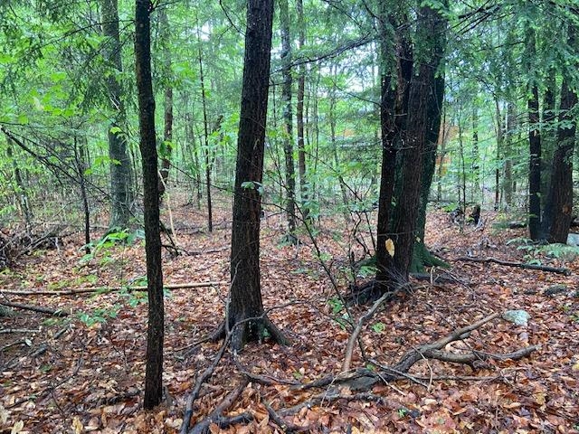65 South Peak Rd, Lincoln, NH 03251