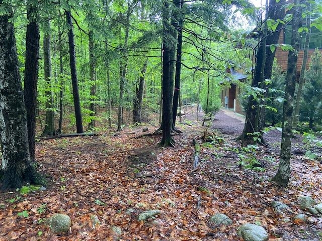 65 South Peak Rd, Lincoln, NH 03251