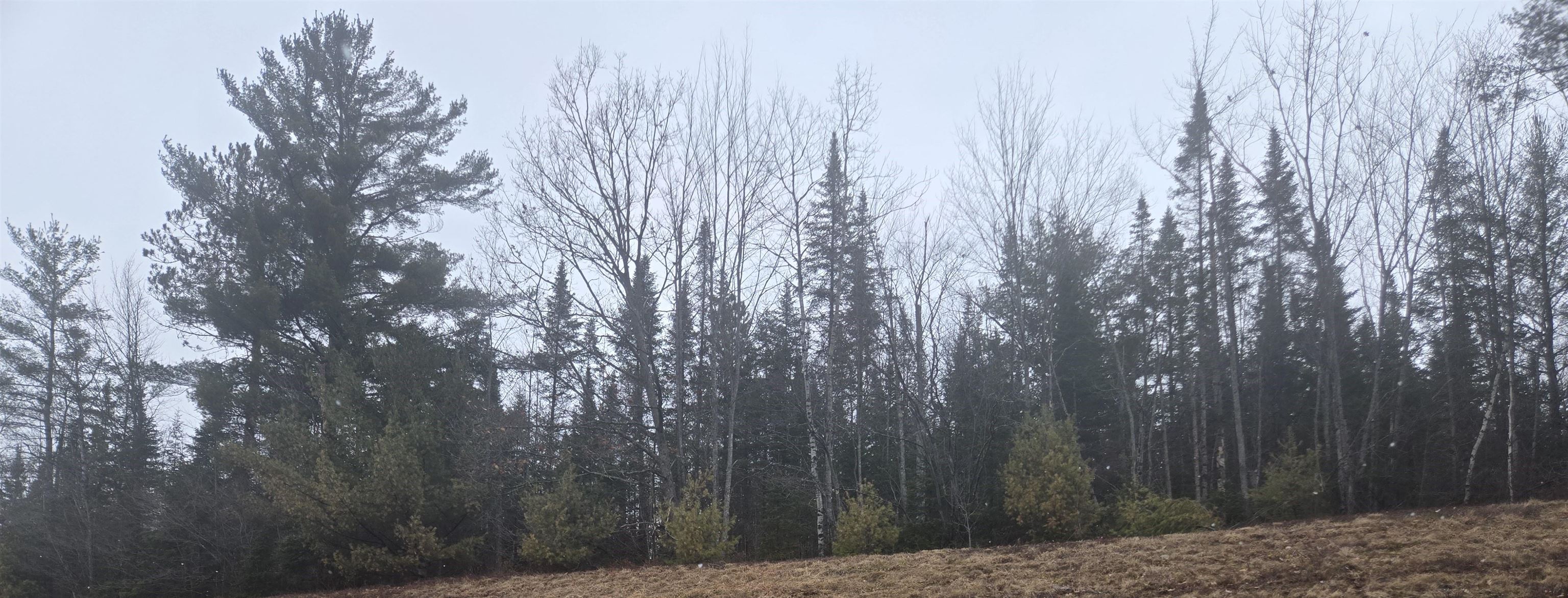 00 Whitefield Rd, Bethlehem, NH 03574