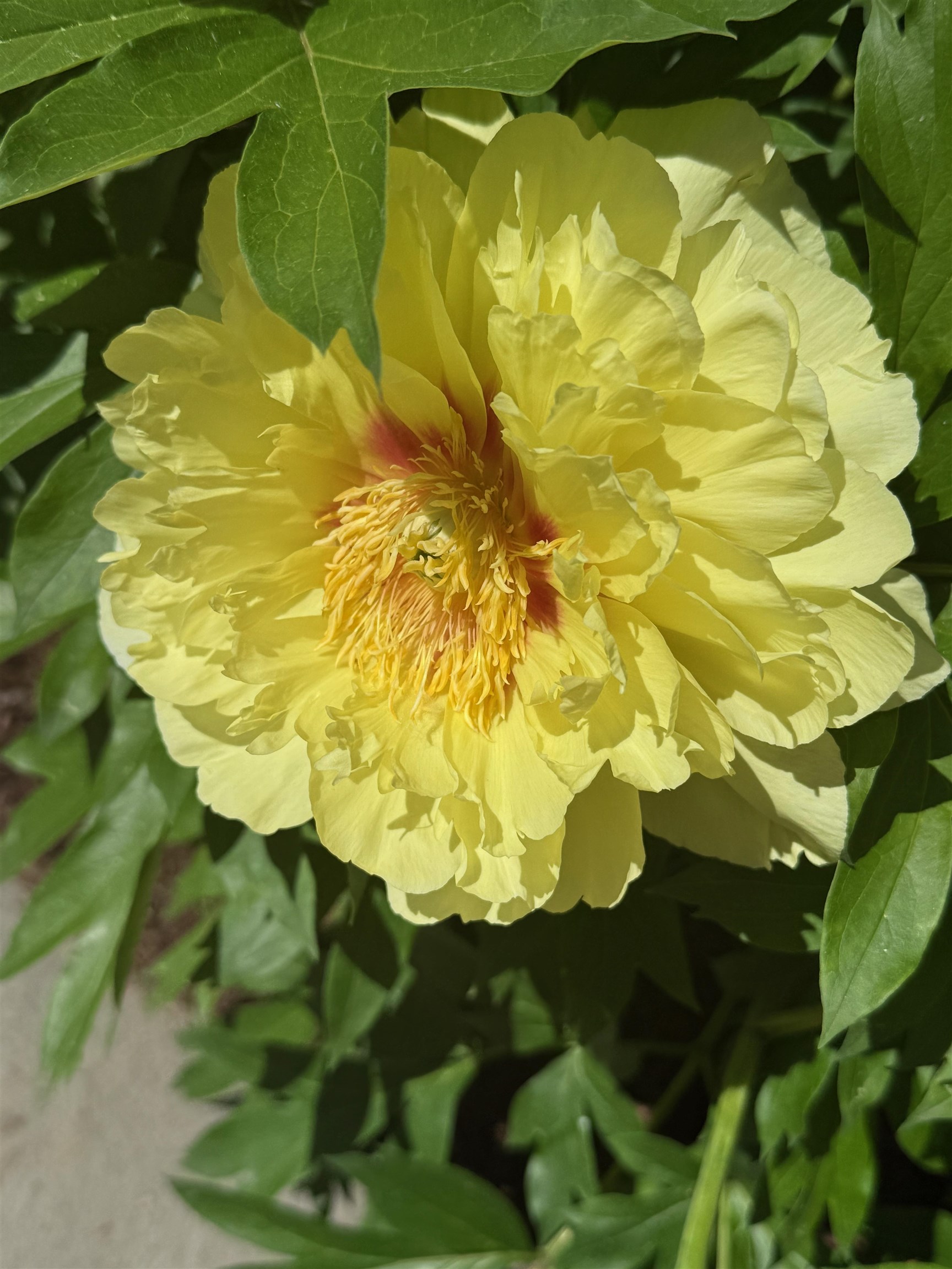 Property photo 52