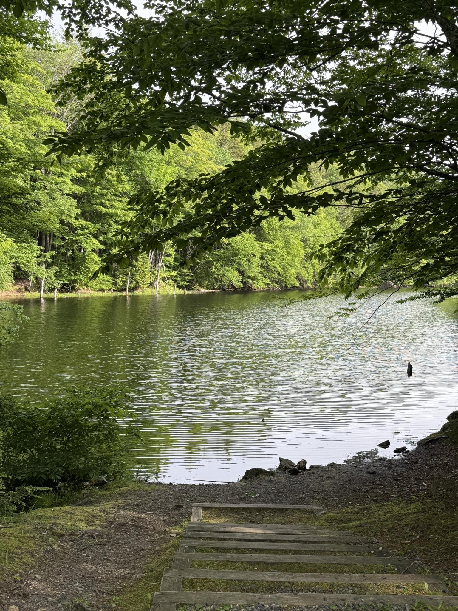 Harriman Carry In Boat Launch