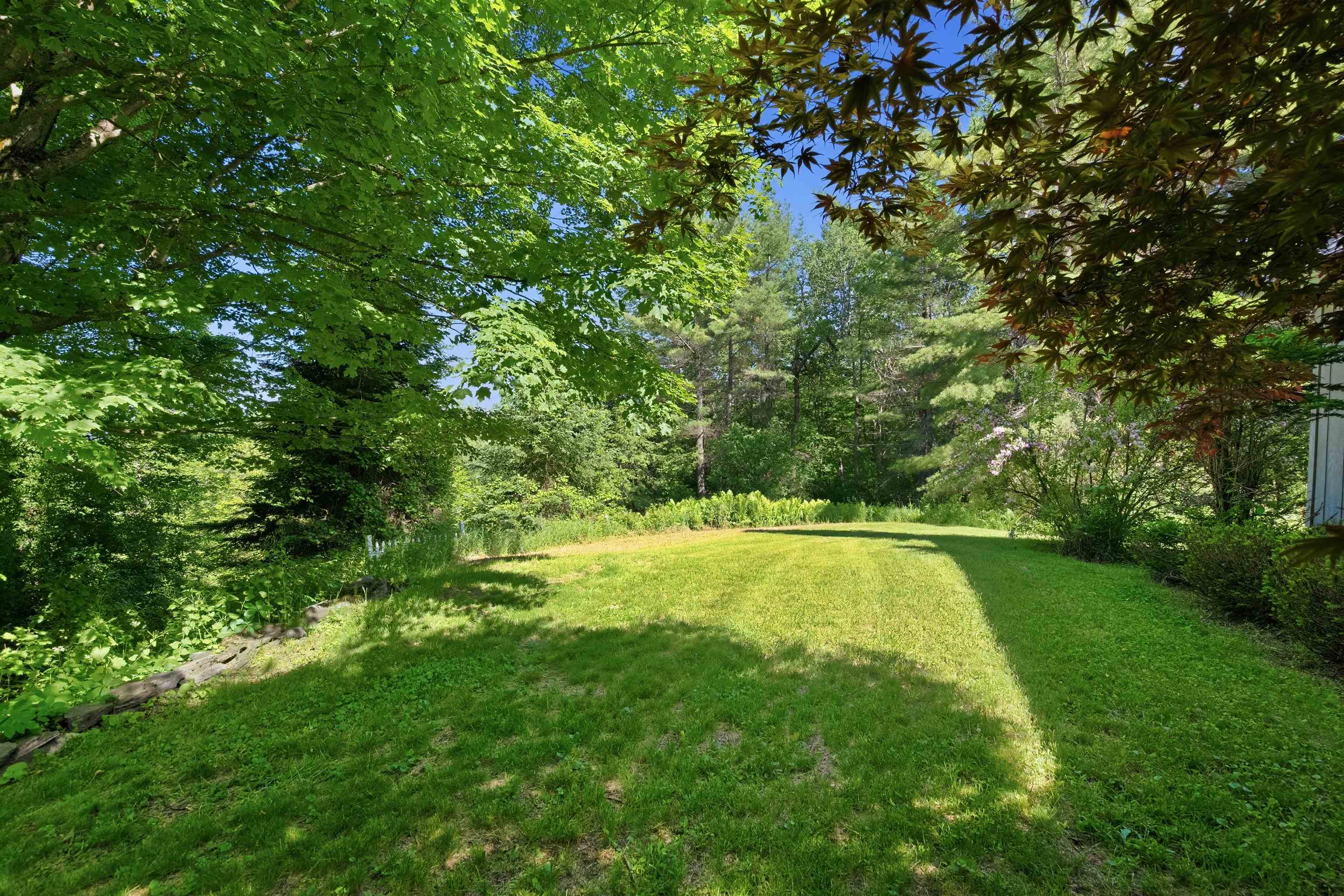 Front lawn is full of beautiful perennials 25498055