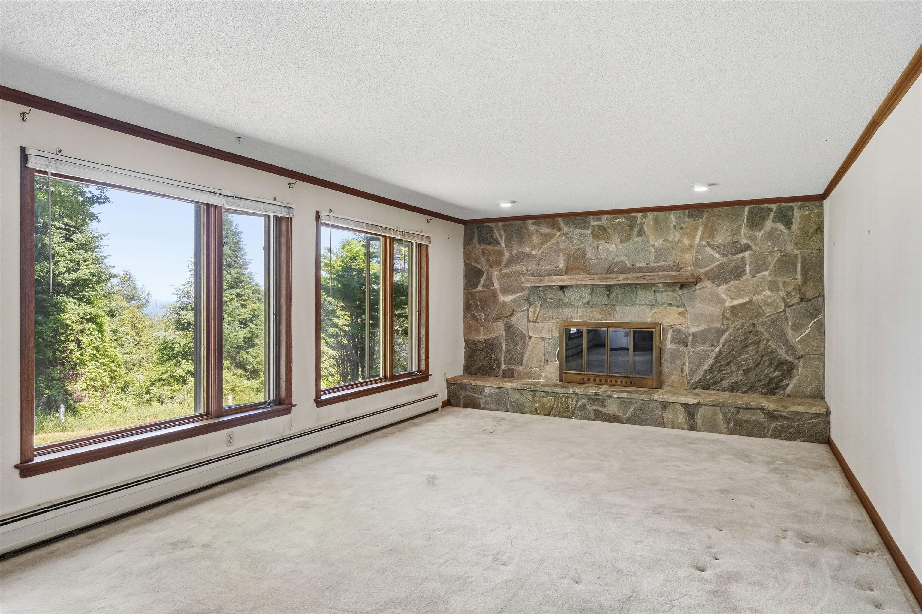 Wood burning fireplace 25498061