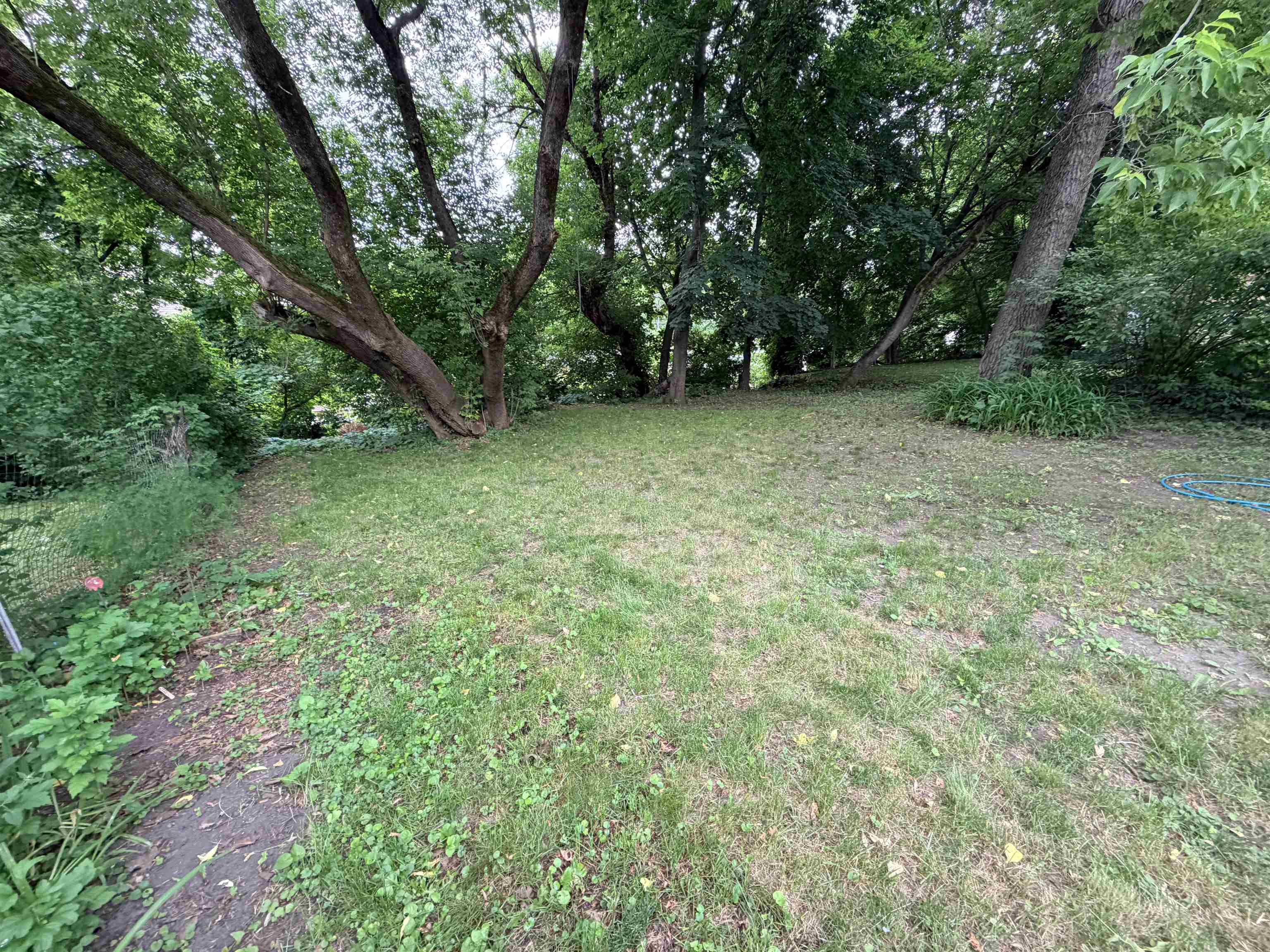 backyard 25537338